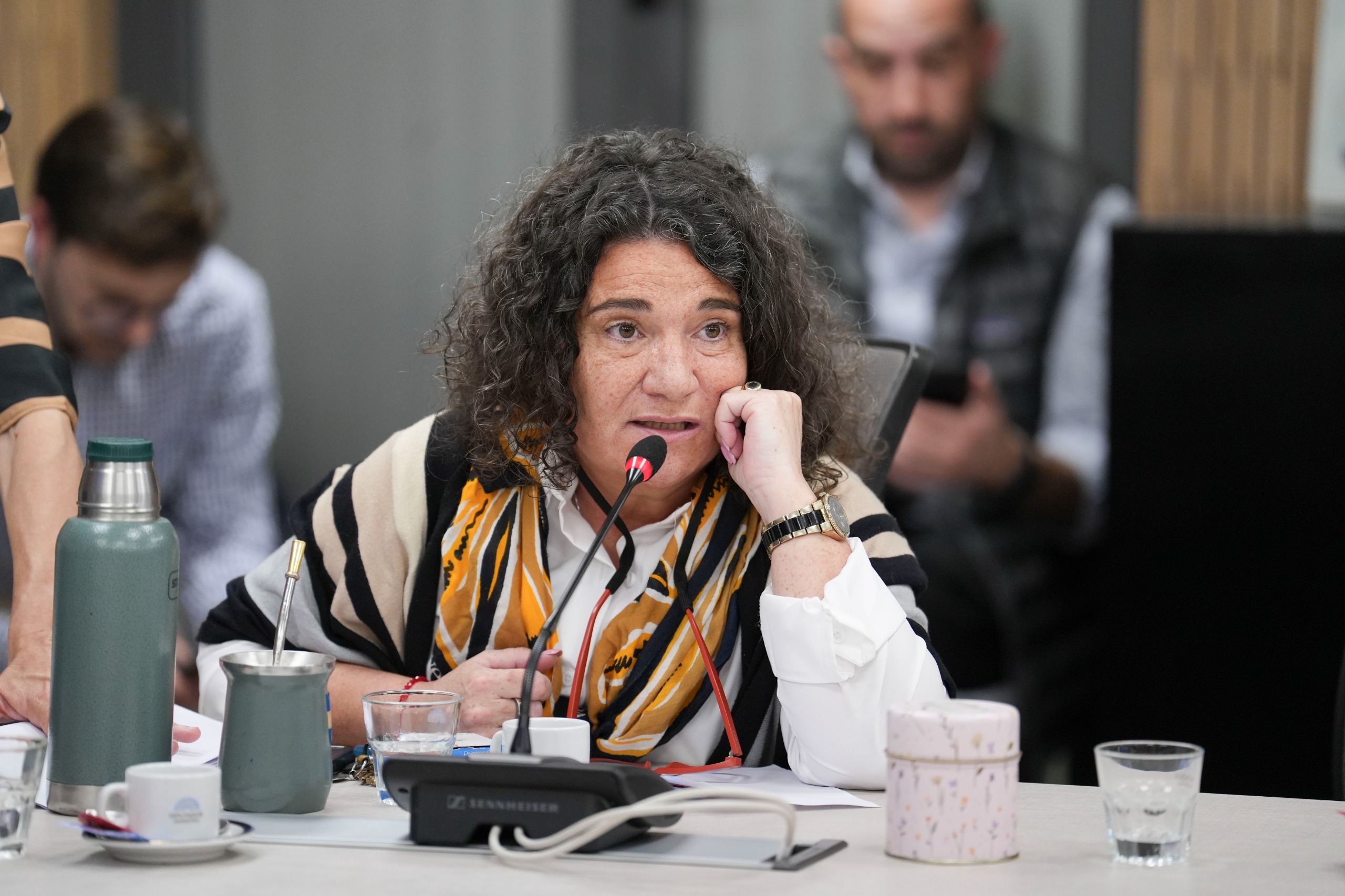 Galeria de imagenes de la noticia DIPUTADOS APROBÓ ACUERDO MARCO ENTRE LA REPÚBLICA ARGENTINA Y LA SECRETARÍA DEL CONVENIO DE BASILEA