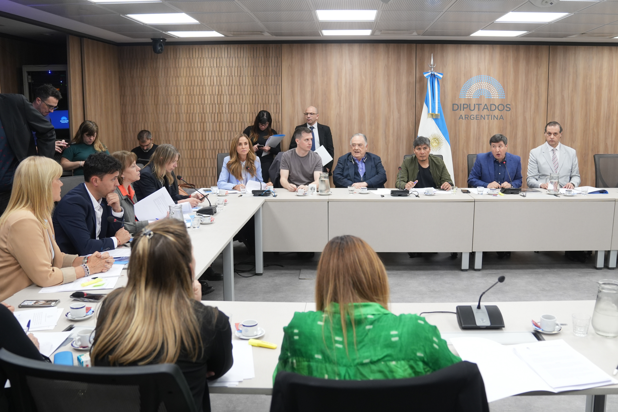 Galeria de imagenes de la noticia LA COMISIÓN DE DISCAPACIDAD ABORDÓ DISTINTOS PROYECTOS DE RESOLUCIÓN Y DECLARACIÓN