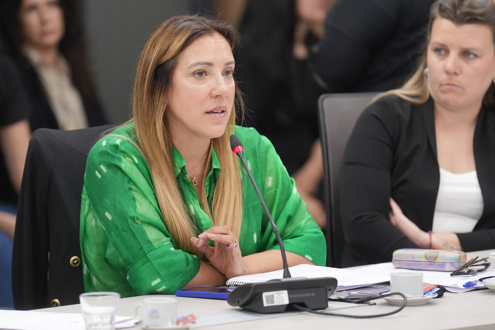 Galeria de imagenes de la noticia LA COMISIÓN DE DISCAPACIDAD ABORDÓ DISTINTOS PROYECTOS DE RESOLUCIÓN Y DECLARACIÓN