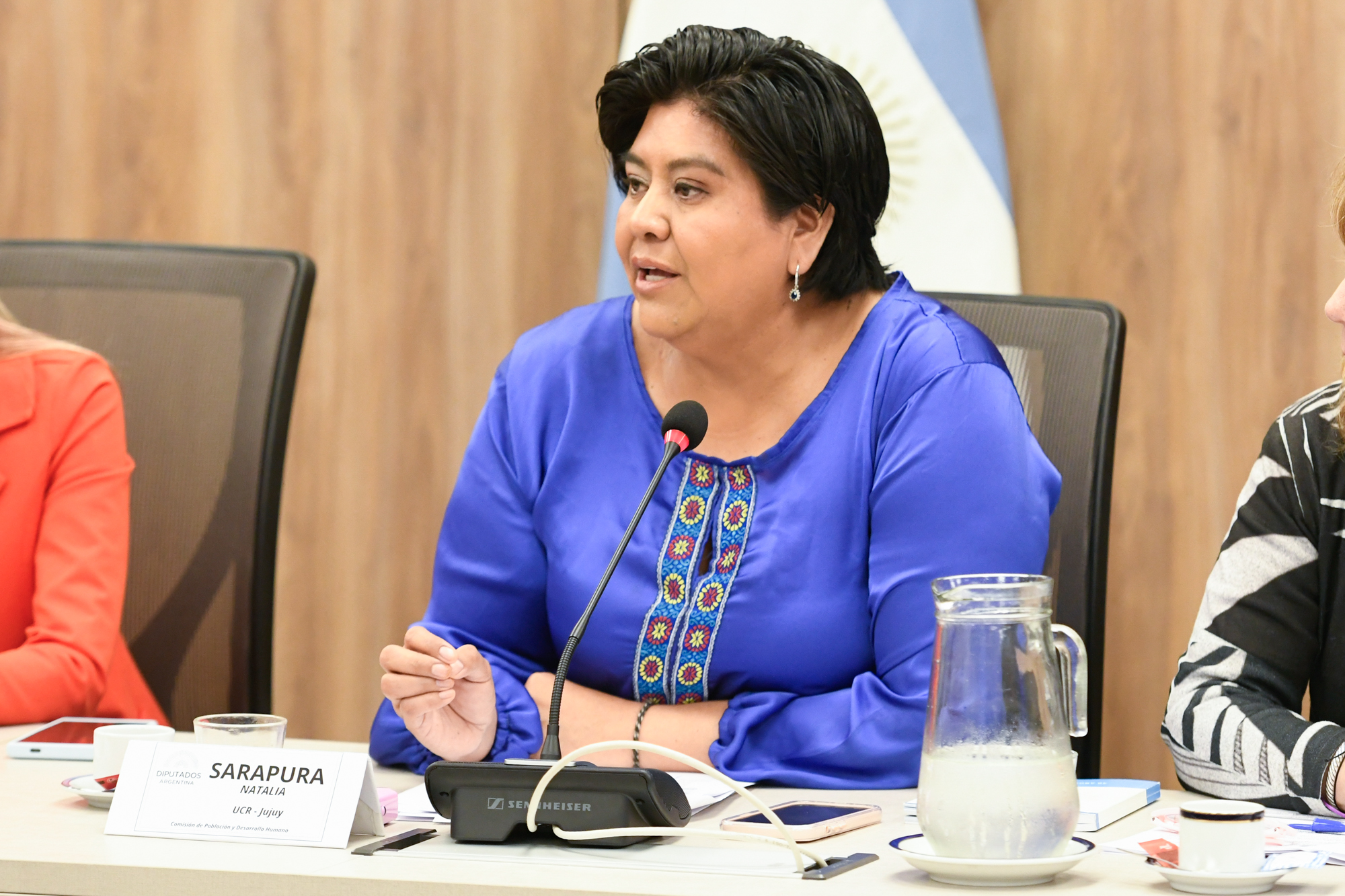 Galeria de imagenes de la noticia DIPUTADOS ANALIZÓ DISTINTOS PROYECTOS VINCULADOS CON ACTIVIDADES SOCIO-COMUNITARIAS Y CULTURALES