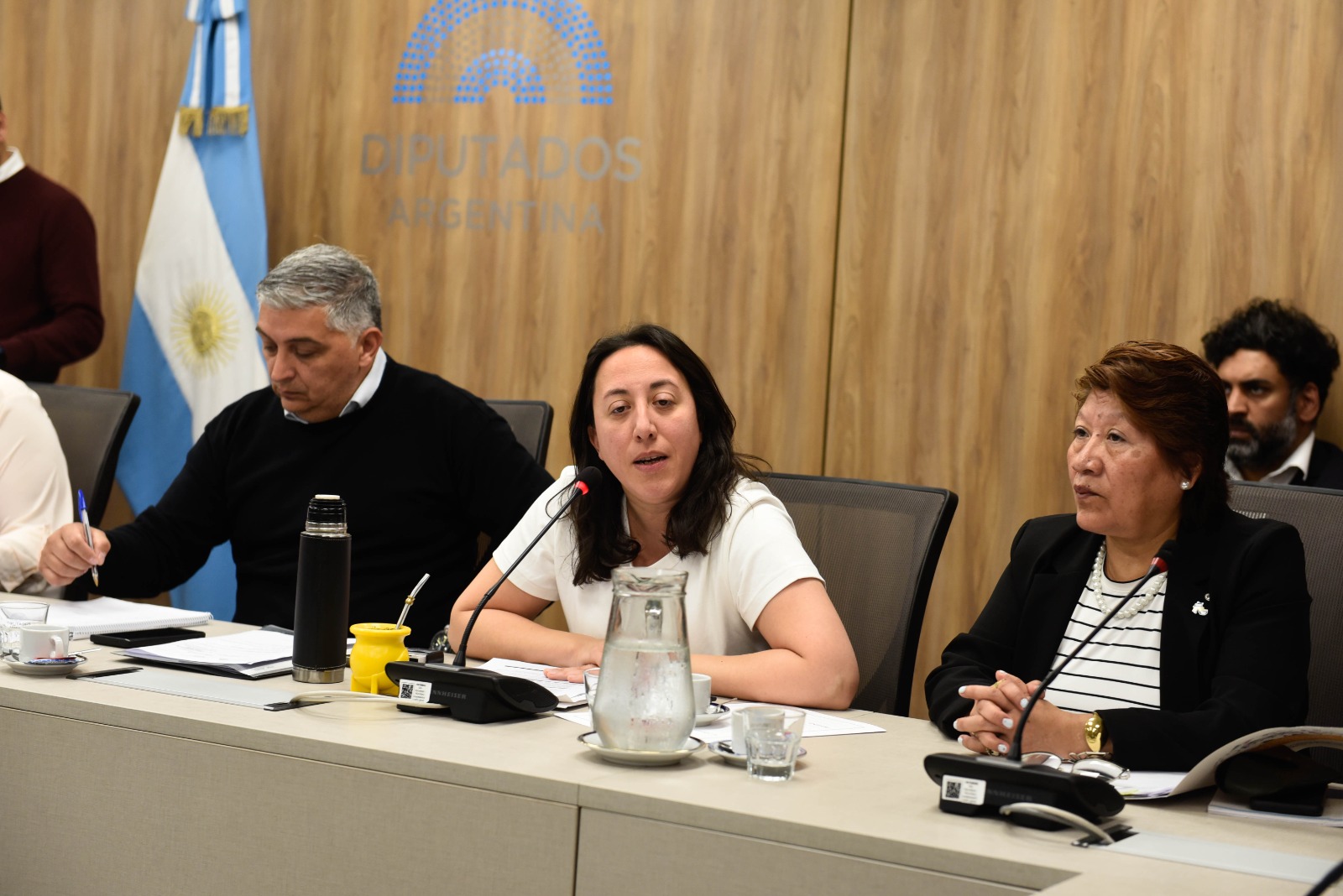 Galeria de imagenes de la noticia AVANZA EL TRABAJO DE LA BICAMERAL QUE DESIGNARÁ AL DEFENSOR DE LOS DERECHOS DE LA NIÑEZ Y ADOLESCENCIA