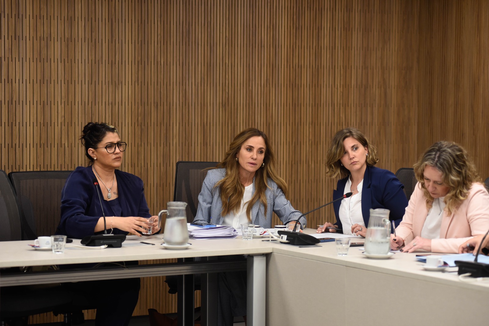 Galeria de imagenes de la noticia AVANZA EL TRABAJO DE LA BICAMERAL QUE DESIGNARÁ AL DEFENSOR DE LOS DERECHOS DE LA NIÑEZ Y ADOLESCENCIA