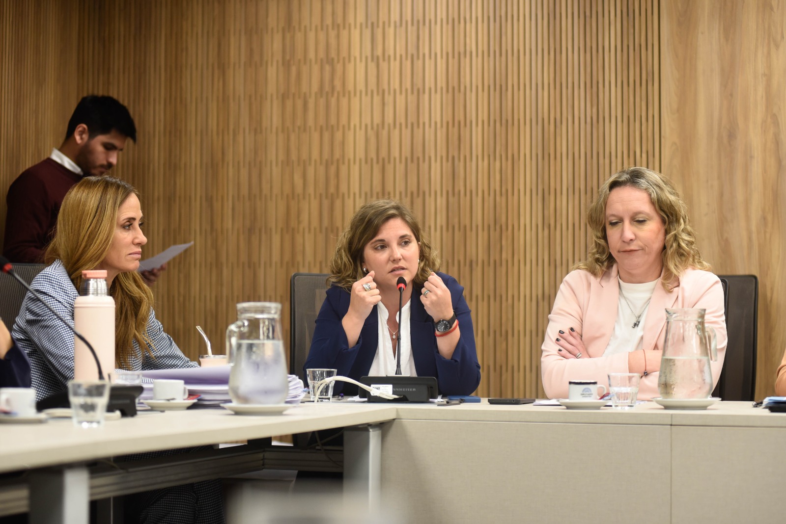 Galeria de imagenes de la noticia AVANZA EL TRABAJO DE LA BICAMERAL QUE DESIGNARÁ AL DEFENSOR DE LOS DERECHOS DE LA NIÑEZ Y ADOLESCENCIA