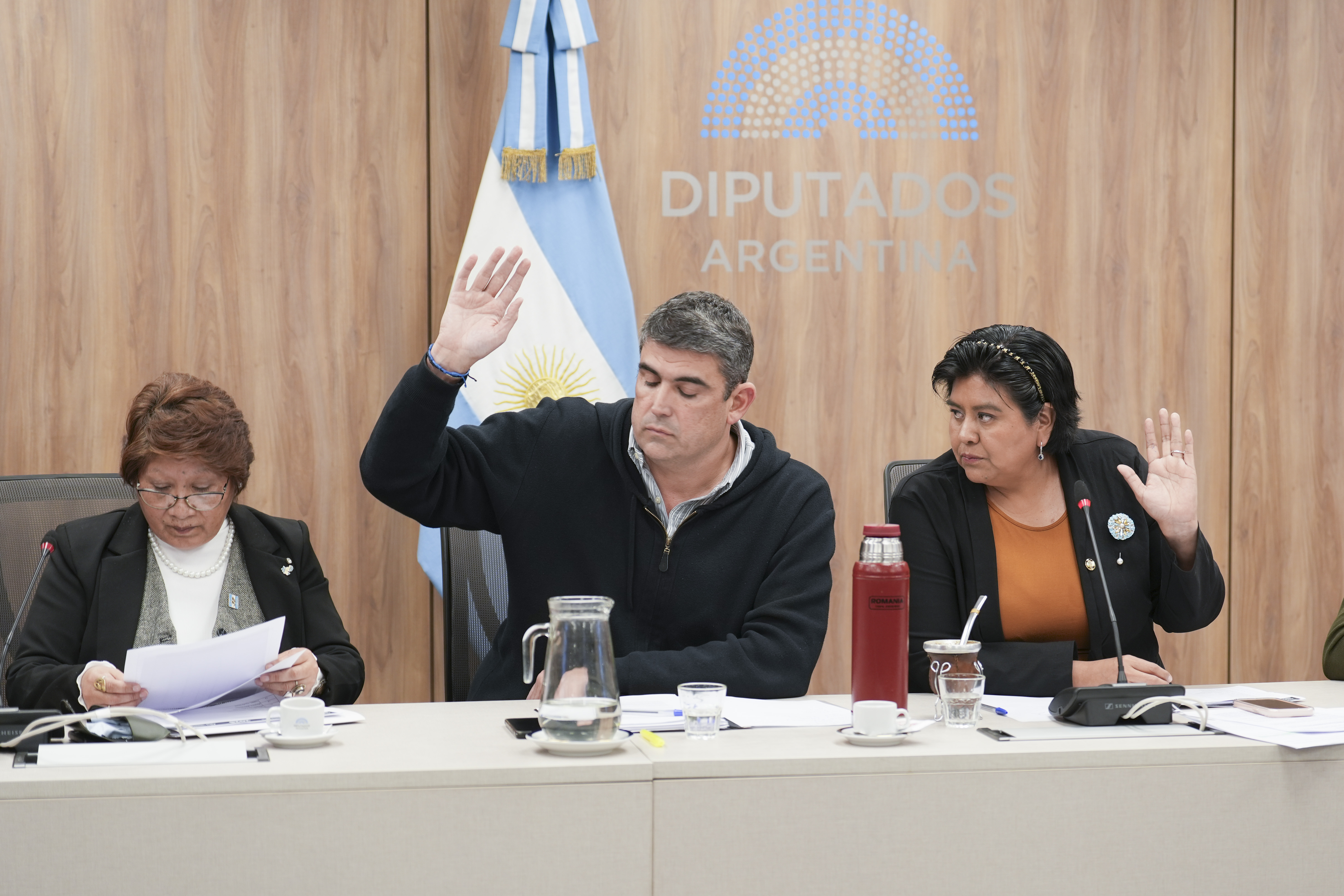 Galeria de imagenes de la noticia CON CRÍTICAS DEL OFICIALISMO, SE APROBÓ UNA PROPUESTA PARA LA DESIGNACIÓN DEL DEFENSOR DE LOS DERECHOS DE NIÑAS, NIÑOS Y ADOLESCENTES