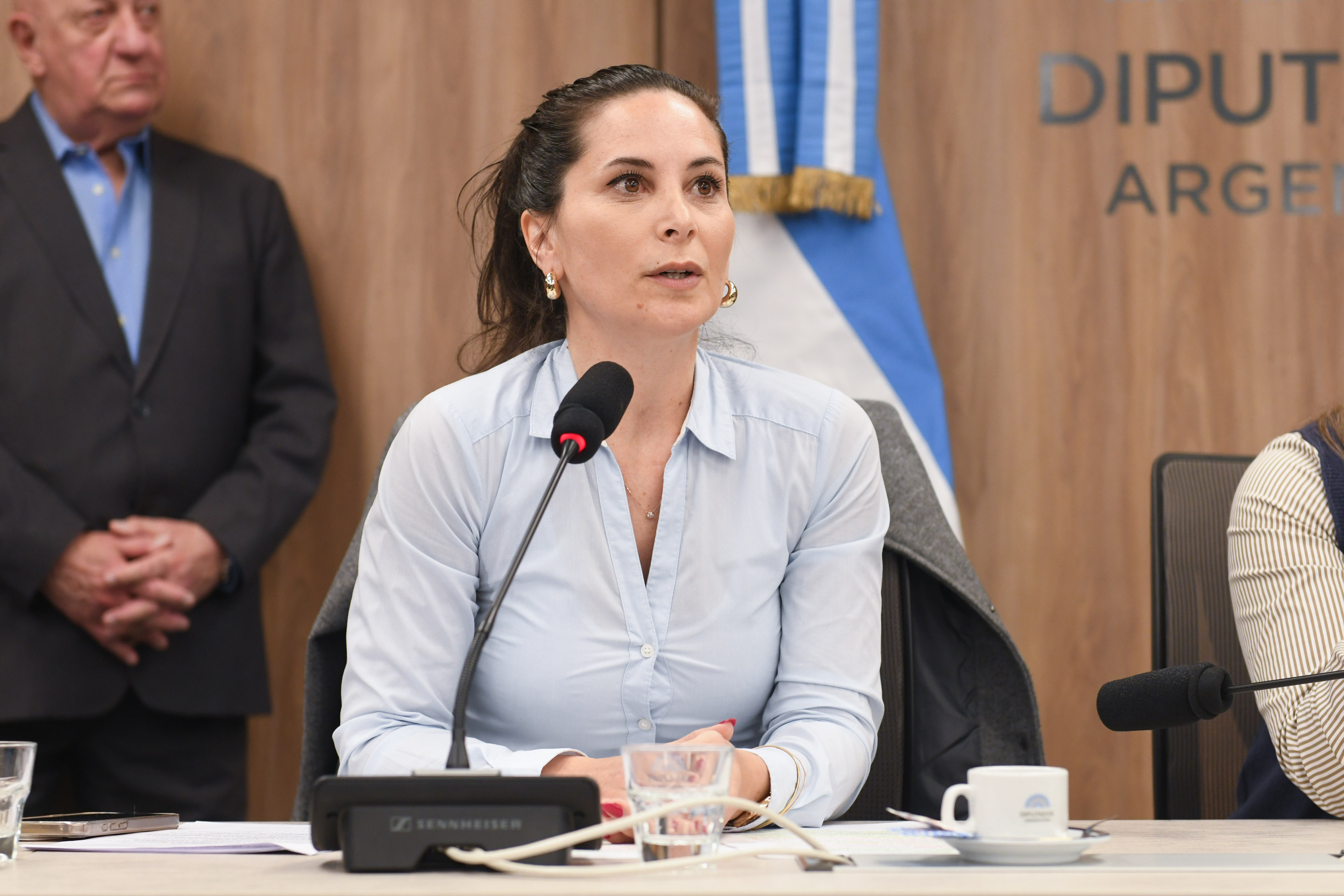 Galeria de imagenes de la noticia UN PLENARIO DE COMISIONES AVANZÓ CON PROYECTOS VINCULADOS AL ENTE NACIONAL DE ALTO RENDIMIENTO DEPORTIVO
