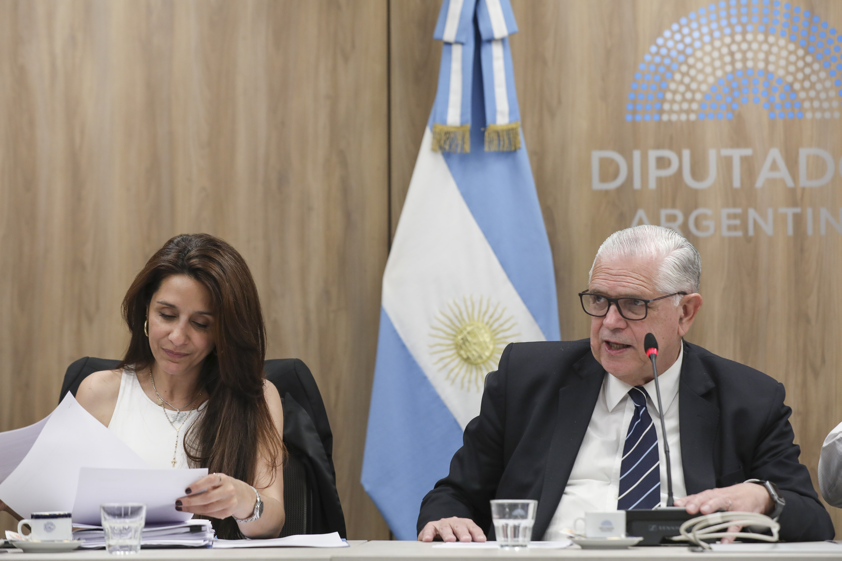 Galeria de imagenes de la noticia DEFENSA NACIONAL DICTAMINÓ DECLARAR DE INTERES EL PROGRAMA “EMBAJADORES MERLSENSES POR MALVINAS”