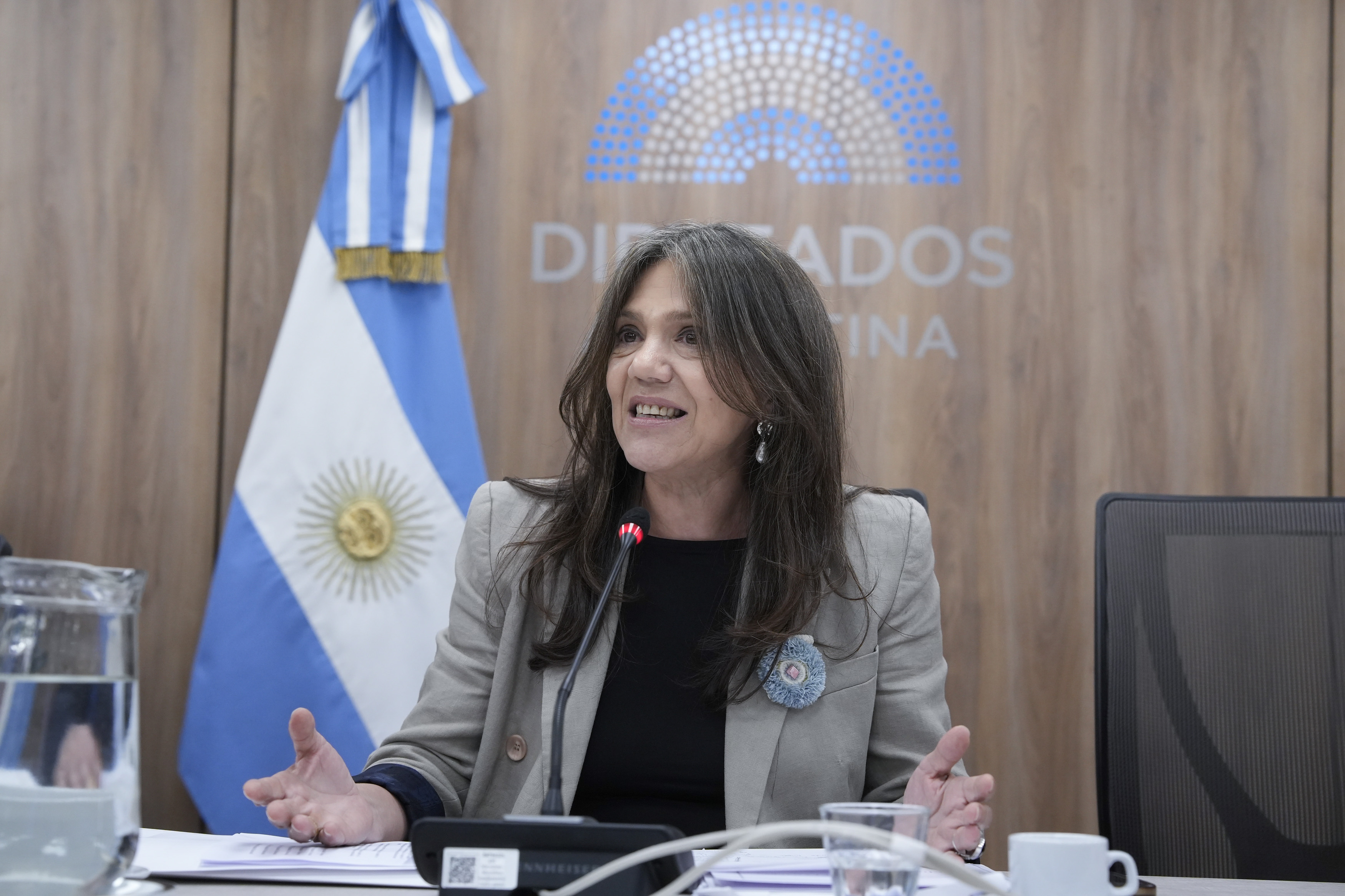 Galeria de imagenes de la noticia CON INVITADOS, LA COMISIÓN DE CULTURA EVALUÓ LA SITUACIÓN DEL SECTOR CINEMATOGRÁFICO