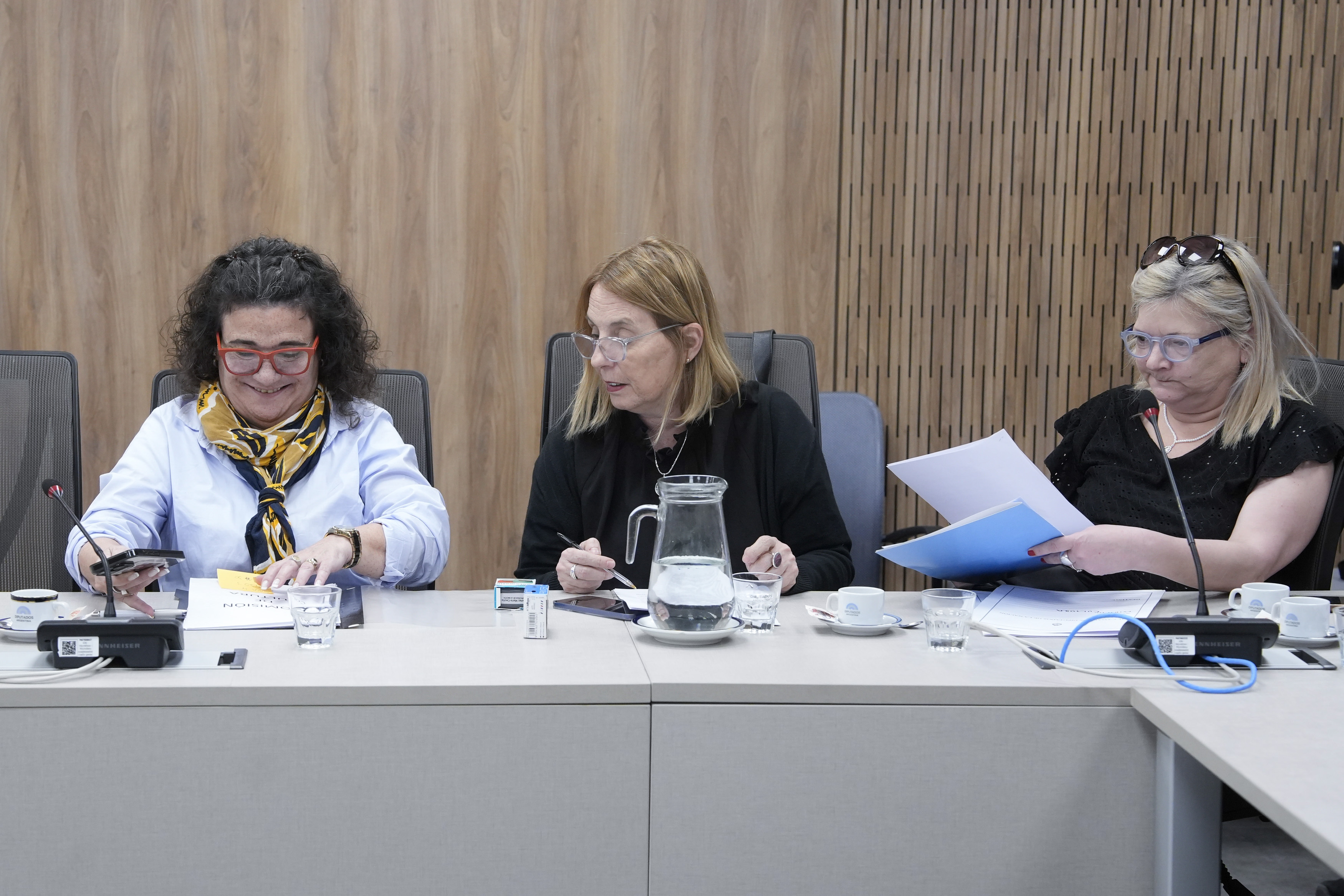Galeria de imagenes de la noticia CON INVITADOS, LA COMISIÓN DE CULTURA EVALUÓ LA SITUACIÓN DEL SECTOR CINEMATOGRÁFICO