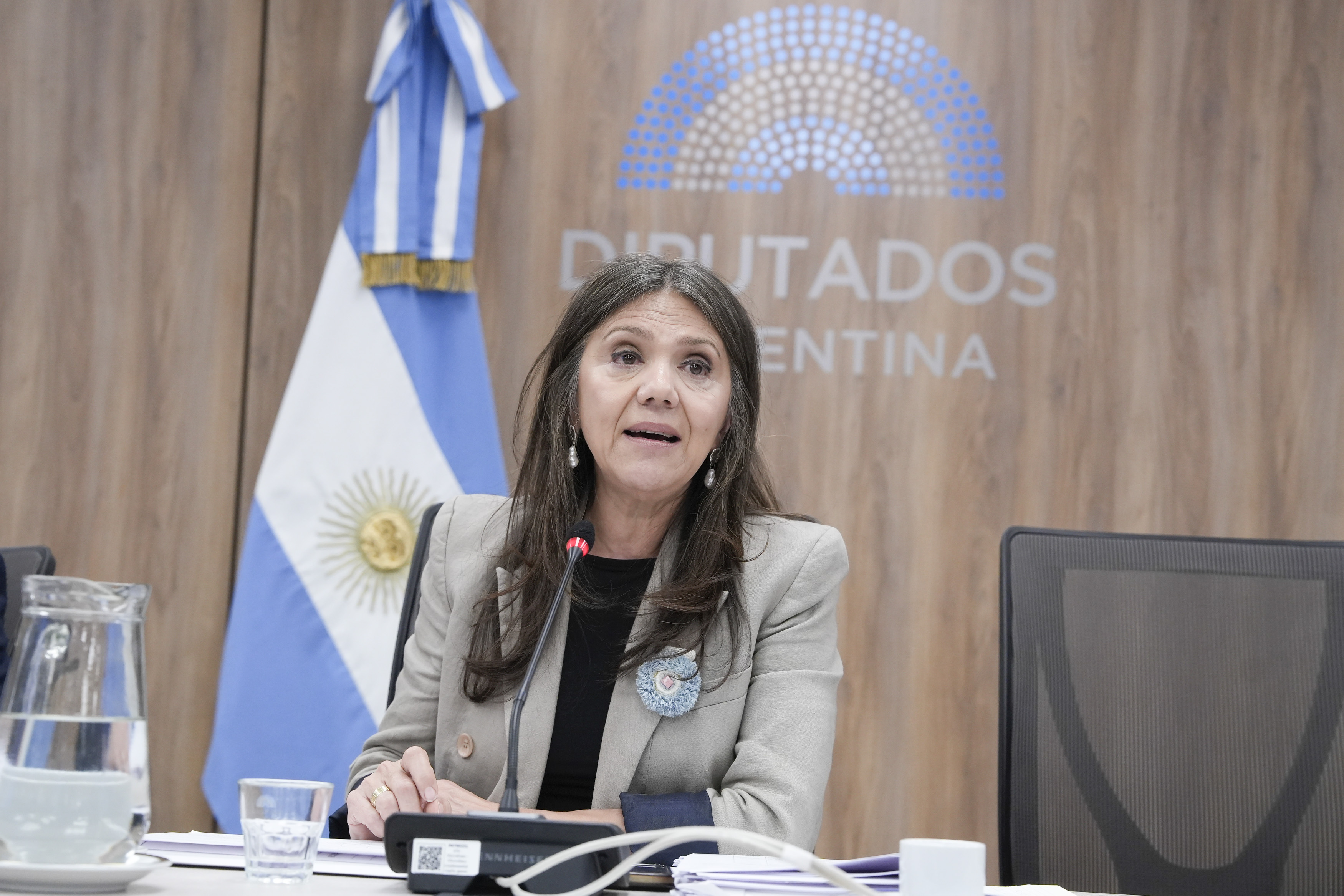 Galeria de imagenes de la noticia CON INVITADOS, LA COMISIÓN DE CULTURA EVALUÓ LA SITUACIÓN DEL SECTOR CINEMATOGRÁFICO