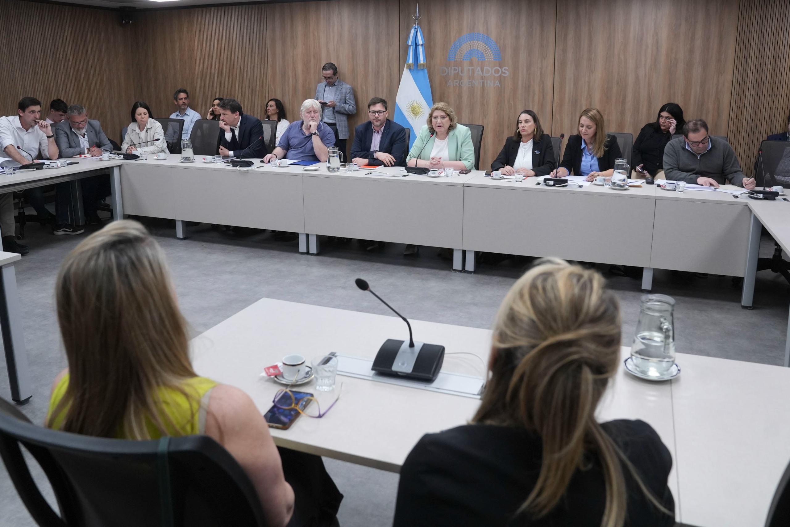 Galeria de imagenes de la noticia CON INVITADOS, SE REUNIÓ LA COMISIÓN DE DEFENSA DEL CONSUMIDOR, DEL USUARIO Y DE LA COMPETENCIA