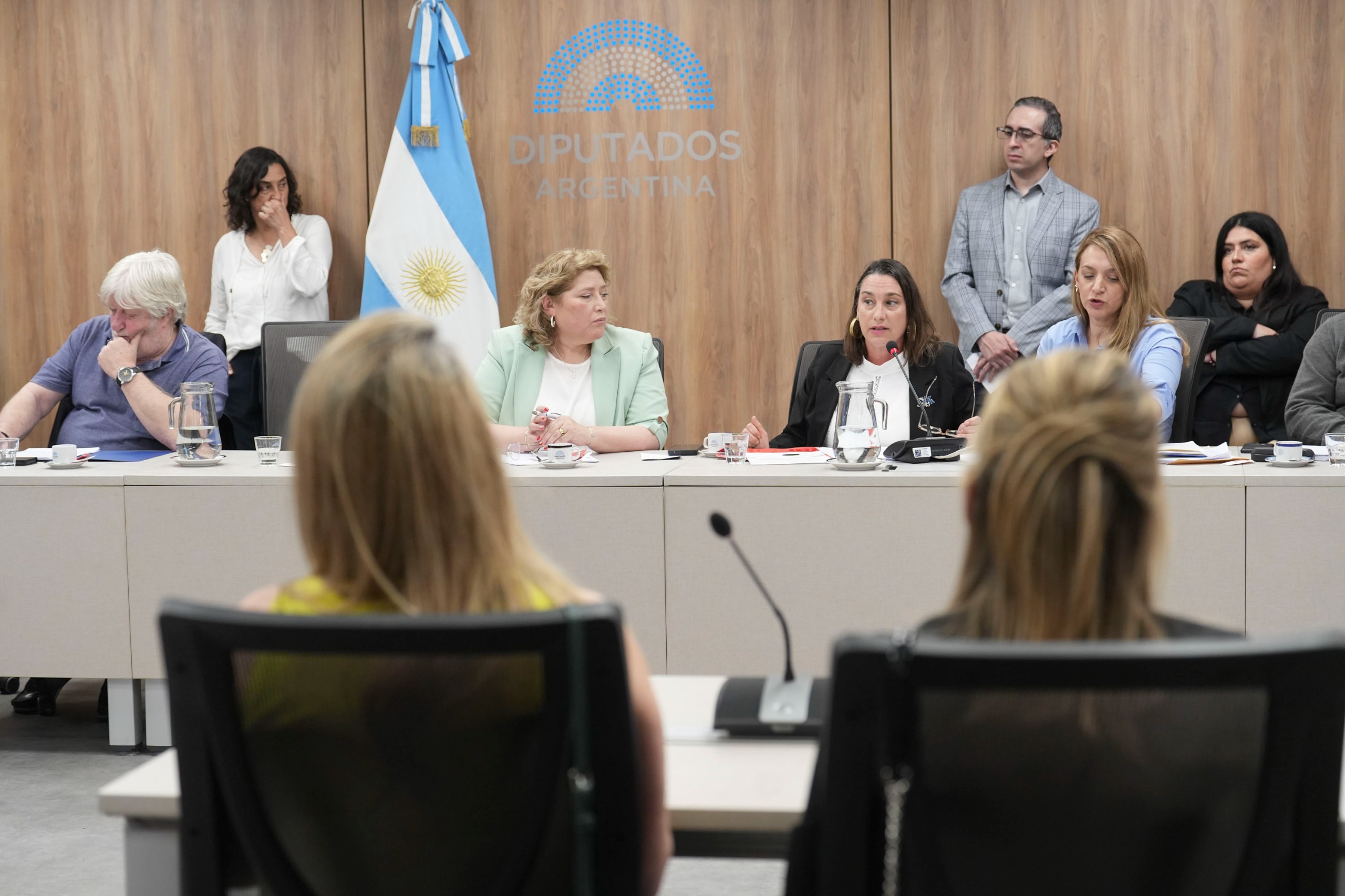 Galeria de imagenes de la noticia CON INVITADOS, SE REUNIÓ LA COMISIÓN DE DEFENSA DEL CONSUMIDOR, DEL USUARIO Y DE LA COMPETENCIA