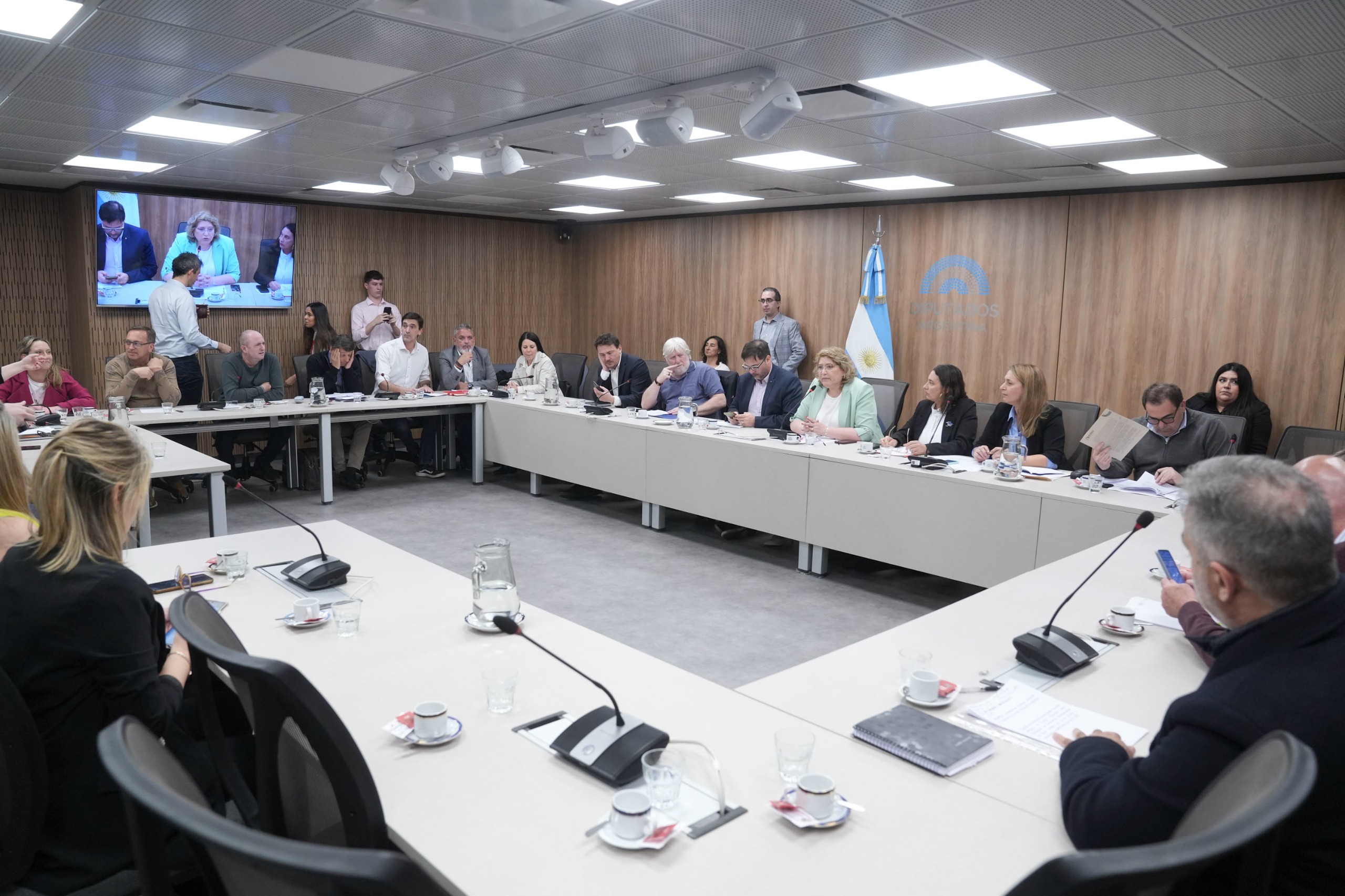 Galeria de imagenes de la noticia CON INVITADOS, SE REUNIÓ LA COMISIÓN DE DEFENSA DEL CONSUMIDOR, DEL USUARIO Y DE LA COMPETENCIA