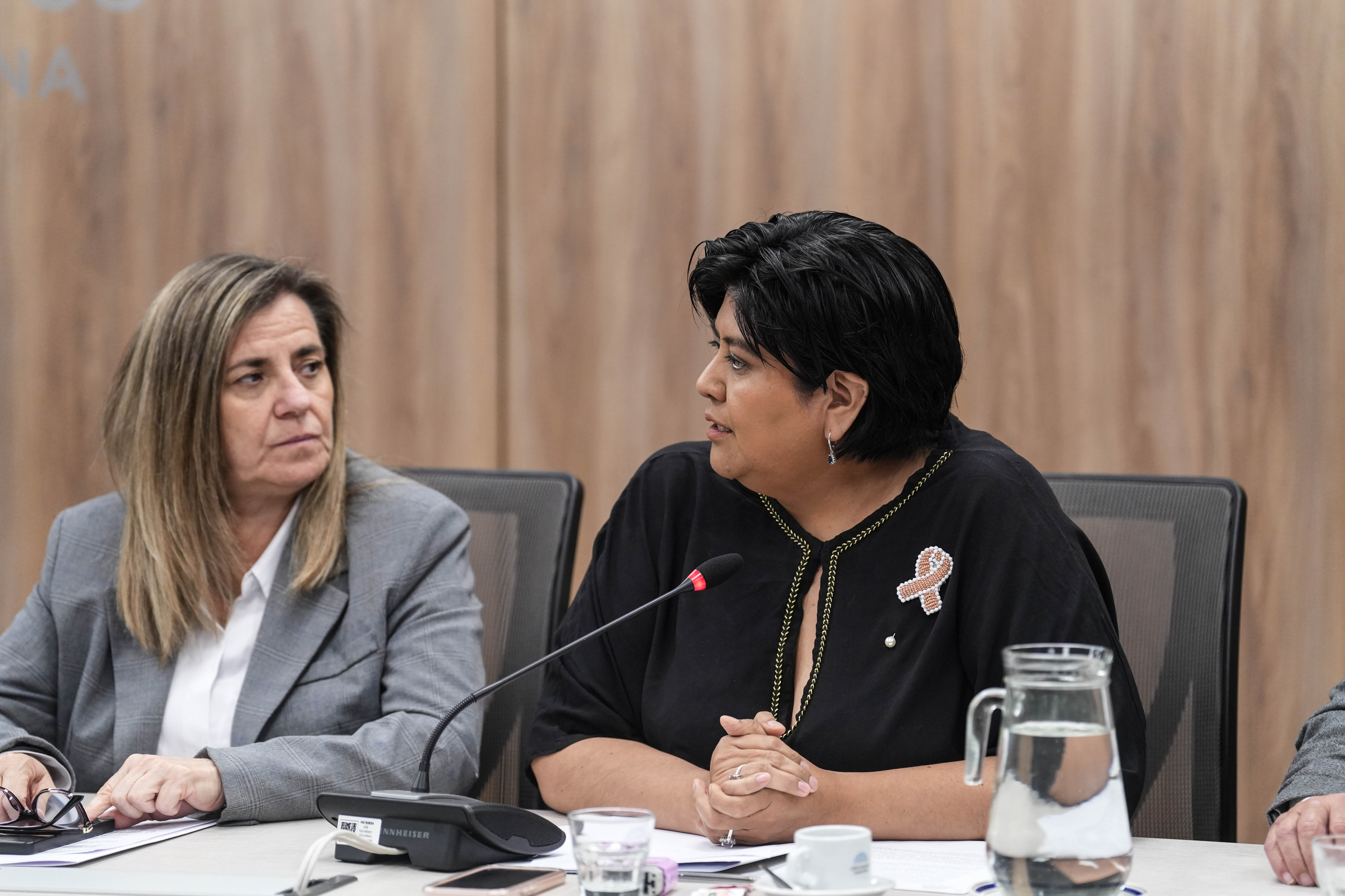 Galeria de imagenes de la noticia UNA COMISIÓN EN DIPUTADOS ANALIZÓ PROYECTOS DE DECLARACIÓN Y RESOLUCIÓN VINCULADOS A LA PREVENCIÓN DE ADICCIONES