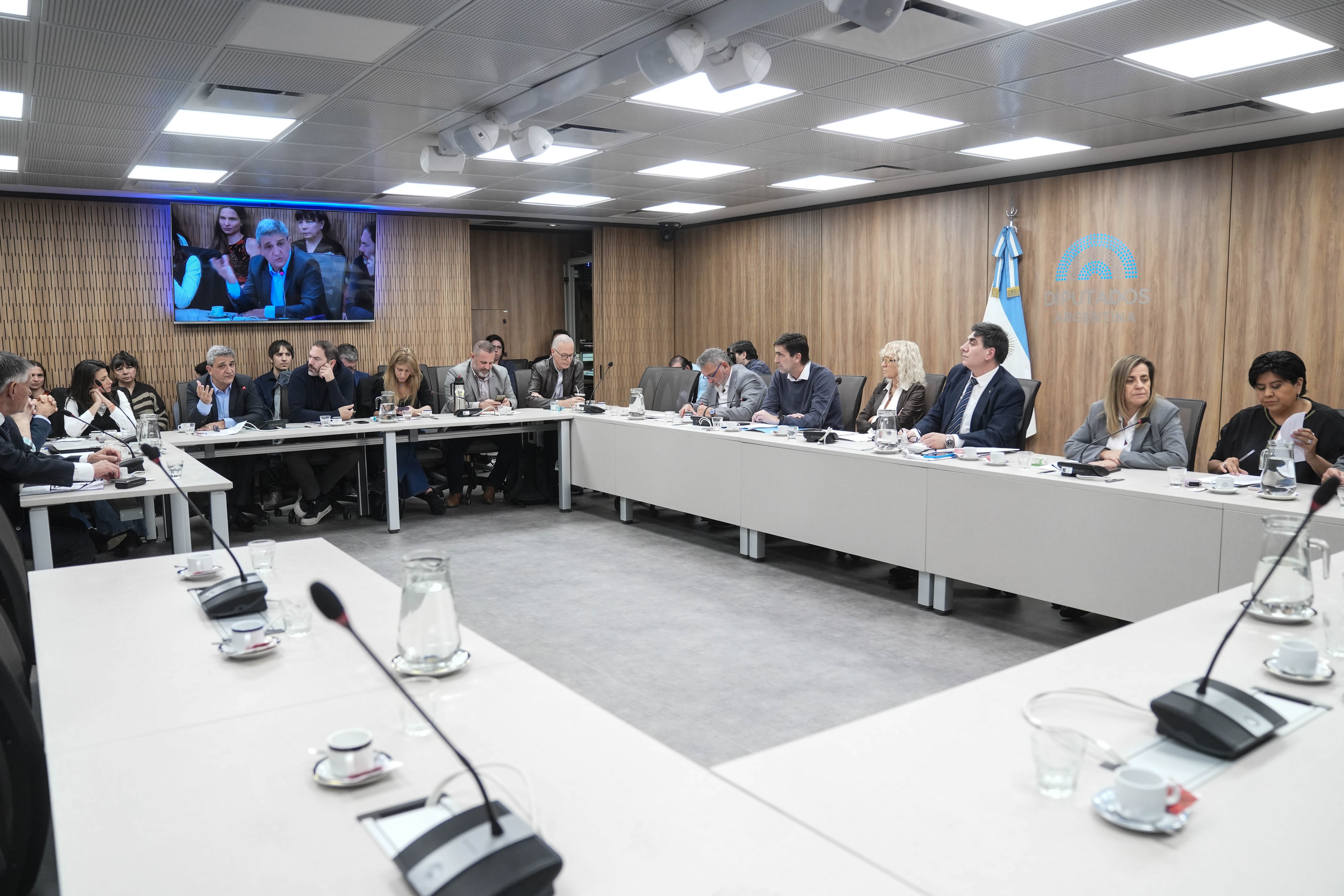 Galeria de imagenes de la noticia UNA COMISIÓN EN DIPUTADOS ANALIZÓ PROYECTOS DE DECLARACIÓN Y RESOLUCIÓN VINCULADOS A LA PREVENCIÓN DE ADICCIONES