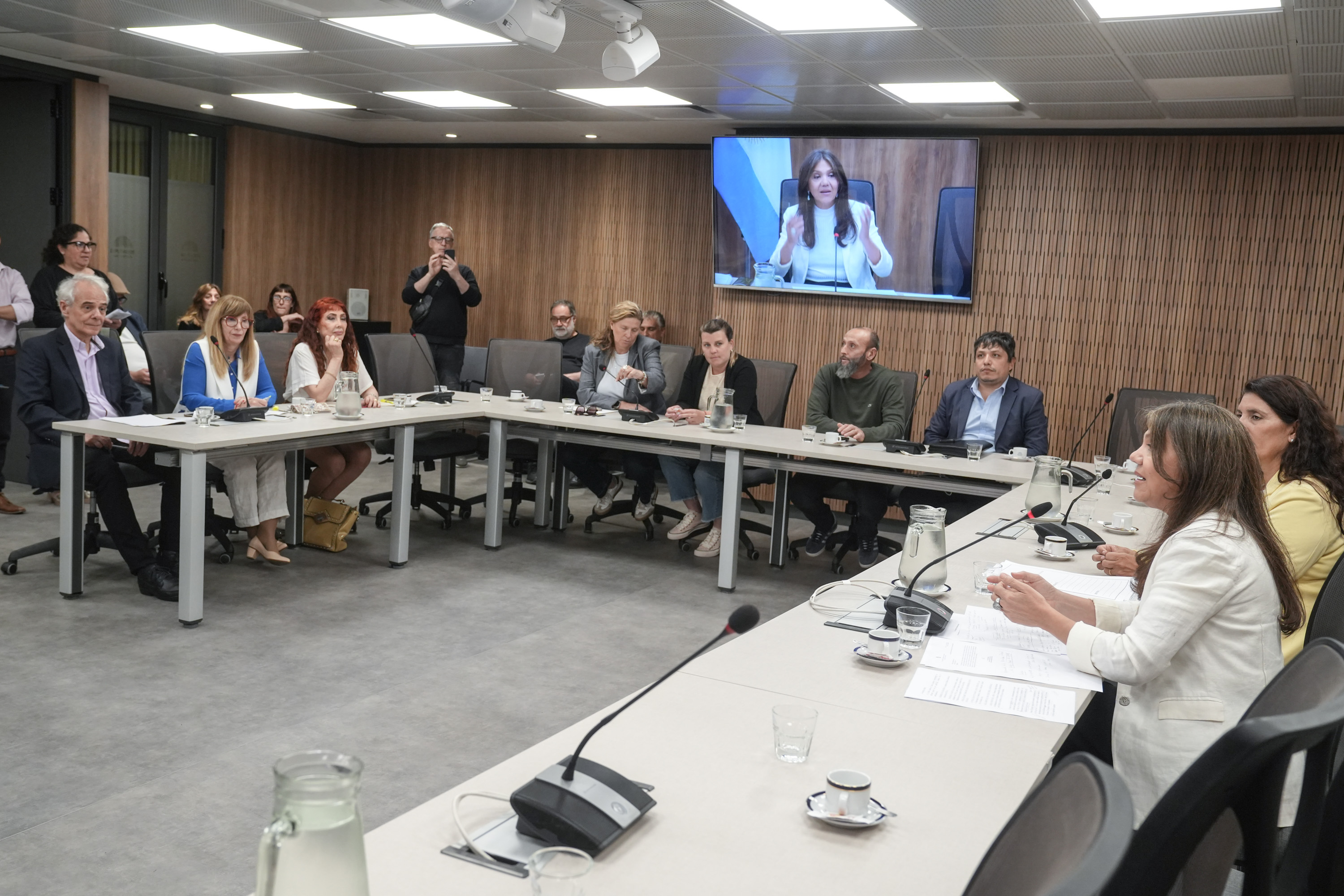 Galeria de imagenes de la noticia CON INVITADOS, LA COMISIÓN DE CULTURA ABORDÓ LA SITUACIÓN DEL SECTOR CINEMATOGRÁFICO