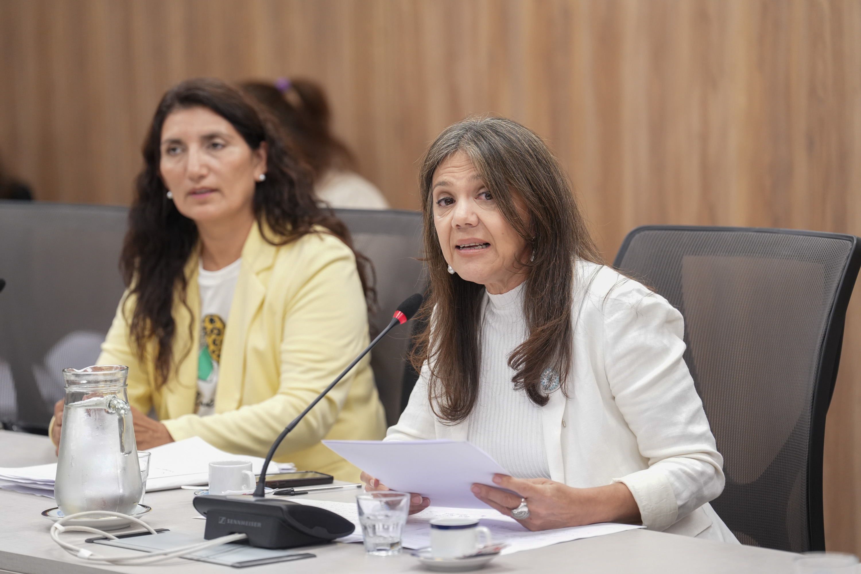 Galeria de imagenes de la noticia CON INVITADOS, LA COMISIÓN DE CULTURA ABORDÓ LA SITUACIÓN DEL SECTOR CINEMATOGRÁFICO