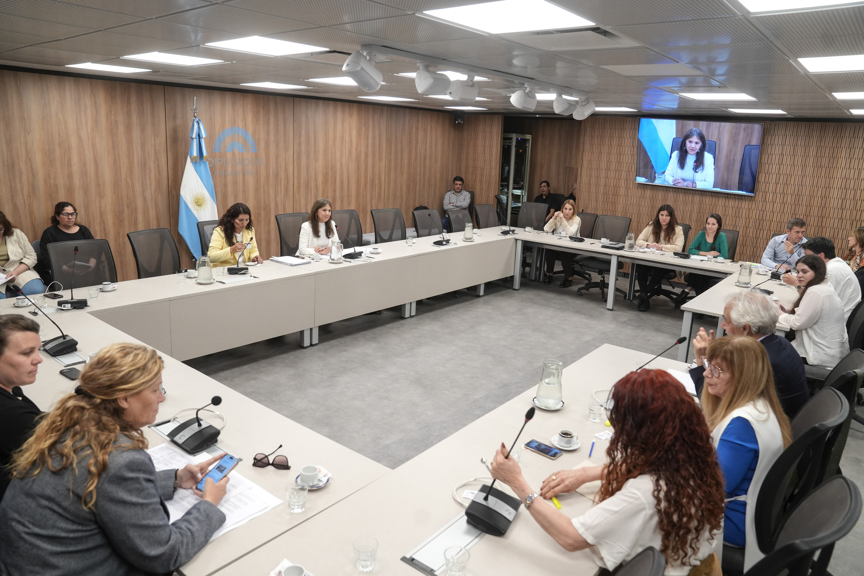 Galeria de imagenes de la noticia CON INVITADOS, LA COMISIÓN DE CULTURA ABORDÓ LA SITUACIÓN DEL SECTOR CINEMATOGRÁFICO