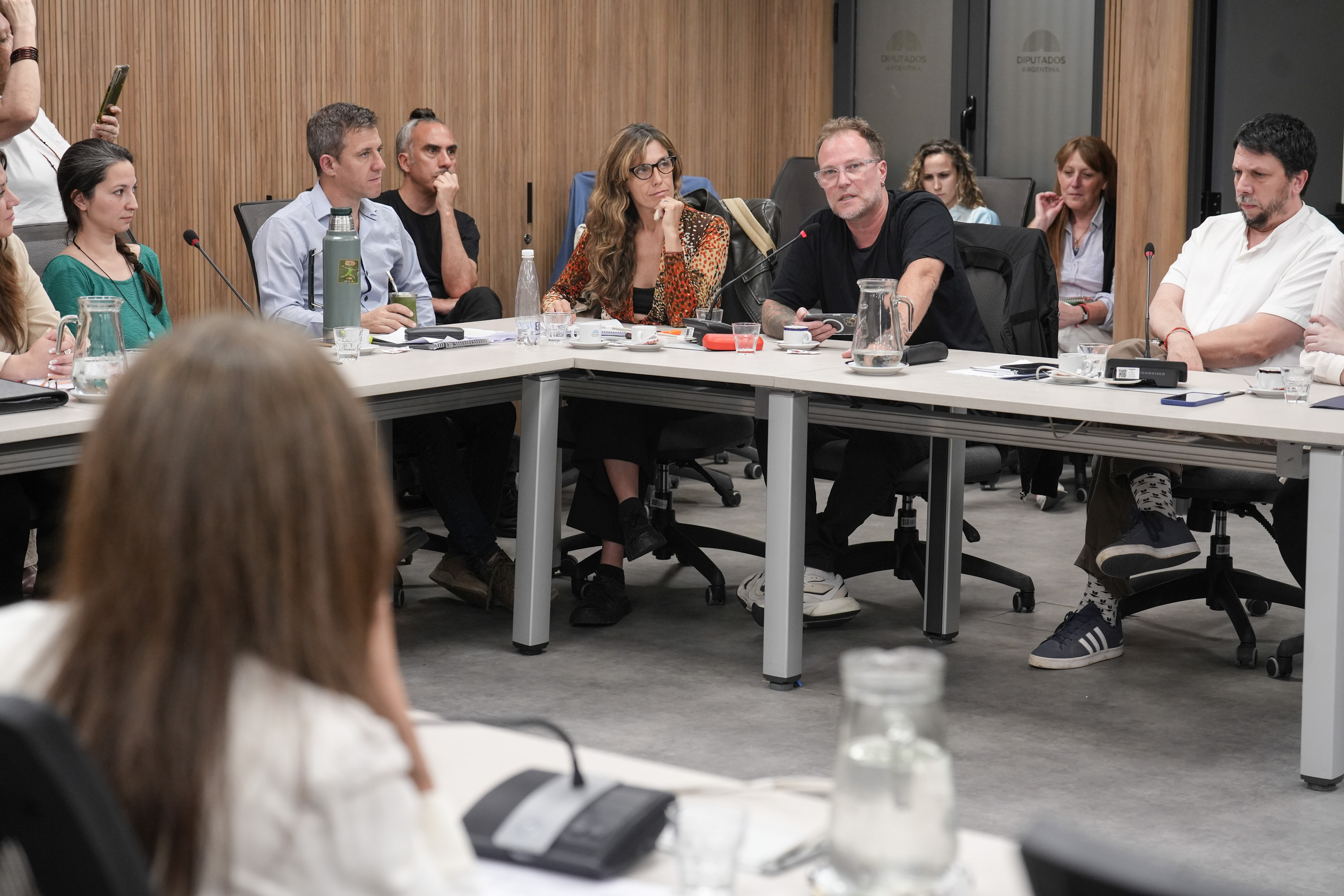 Galeria de imagenes de la noticia CON INVITADOS, LA COMISIÓN DE CULTURA ABORDÓ LA SITUACIÓN DEL SECTOR CINEMATOGRÁFICO
