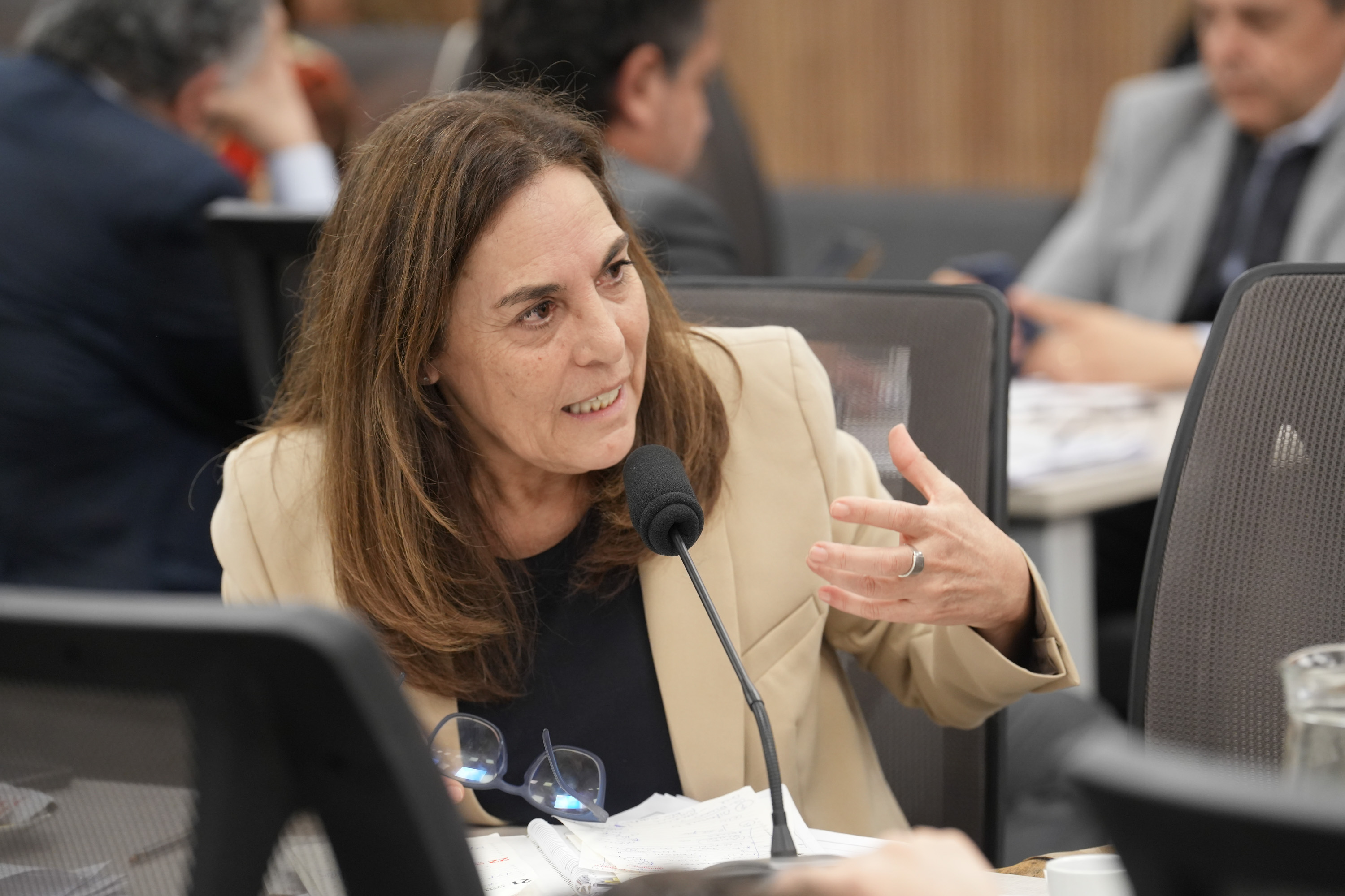 Galeria de imagenes de la noticia AVANZA EL PROYECTO DE REFORMA DE LA AGENCIA NACIONAL DE DISCAPACIDAD