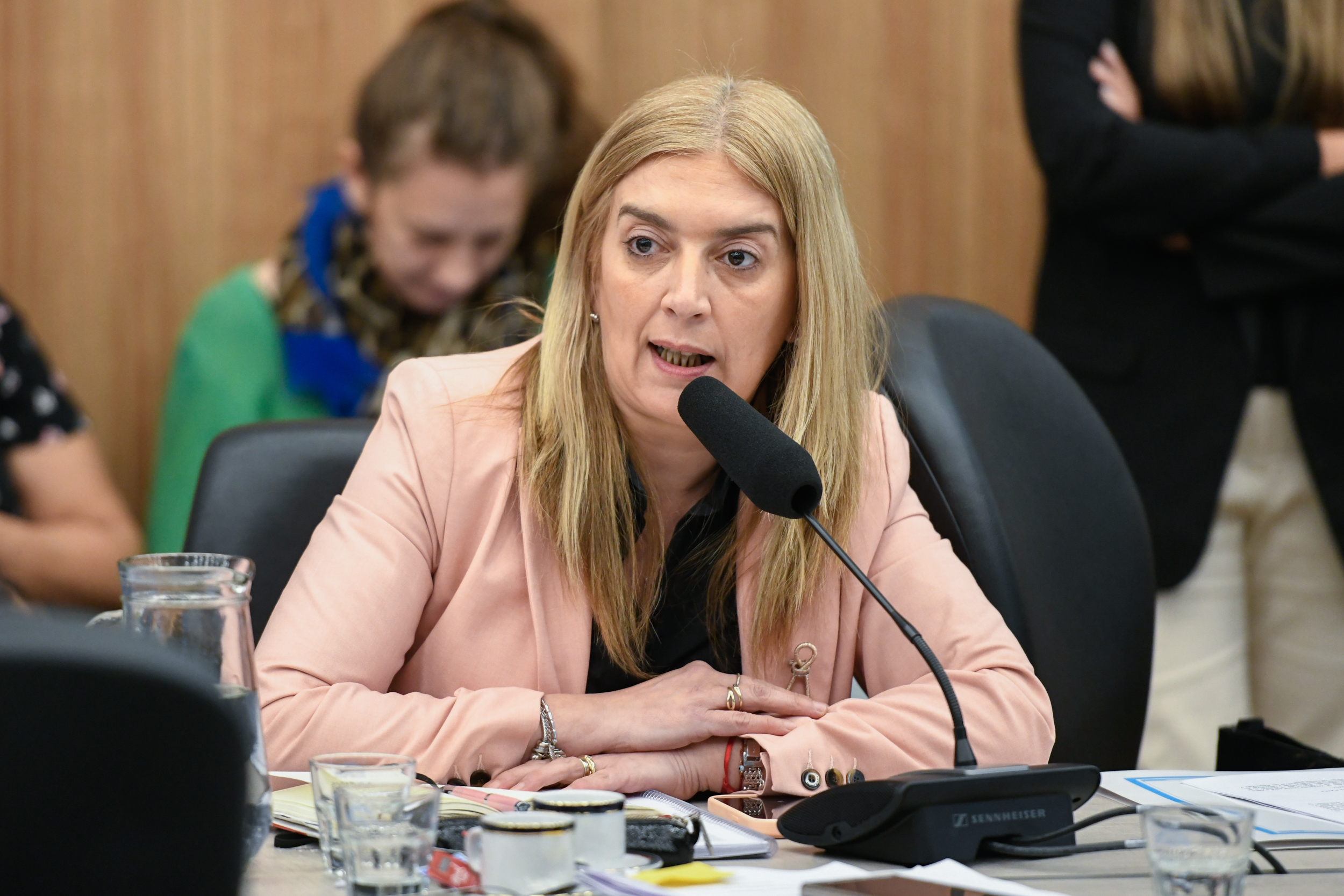 Galeria de imagenes de la noticia UN PLENARIO DE COMISIONES ABORDÓ EL PROYECTO DE DECLARACIÓN DE EMERGENCIA Y PROTECCIÓN PARA LAS MIPYMES