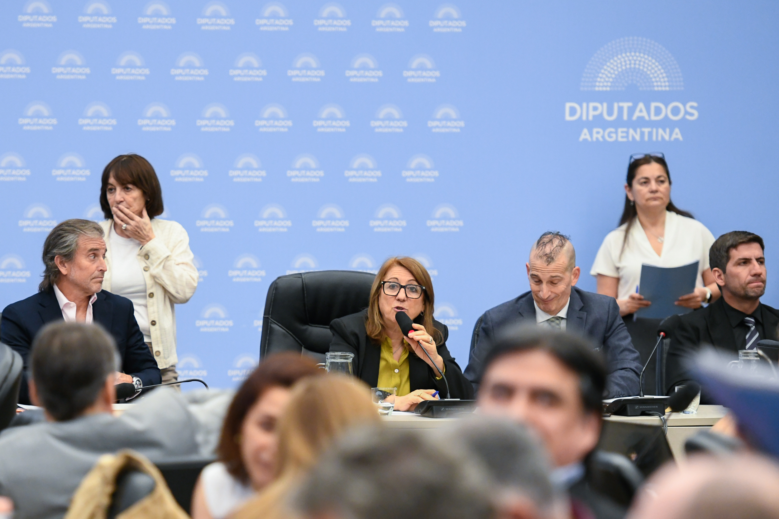 Galeria de imagenes de la noticia UN PLENARIO DE COMISIONES ABORDÓ EL PROYECTO DE DECLARACIÓN DE EMERGENCIA Y PROTECCIÓN PARA LAS MIPYMES