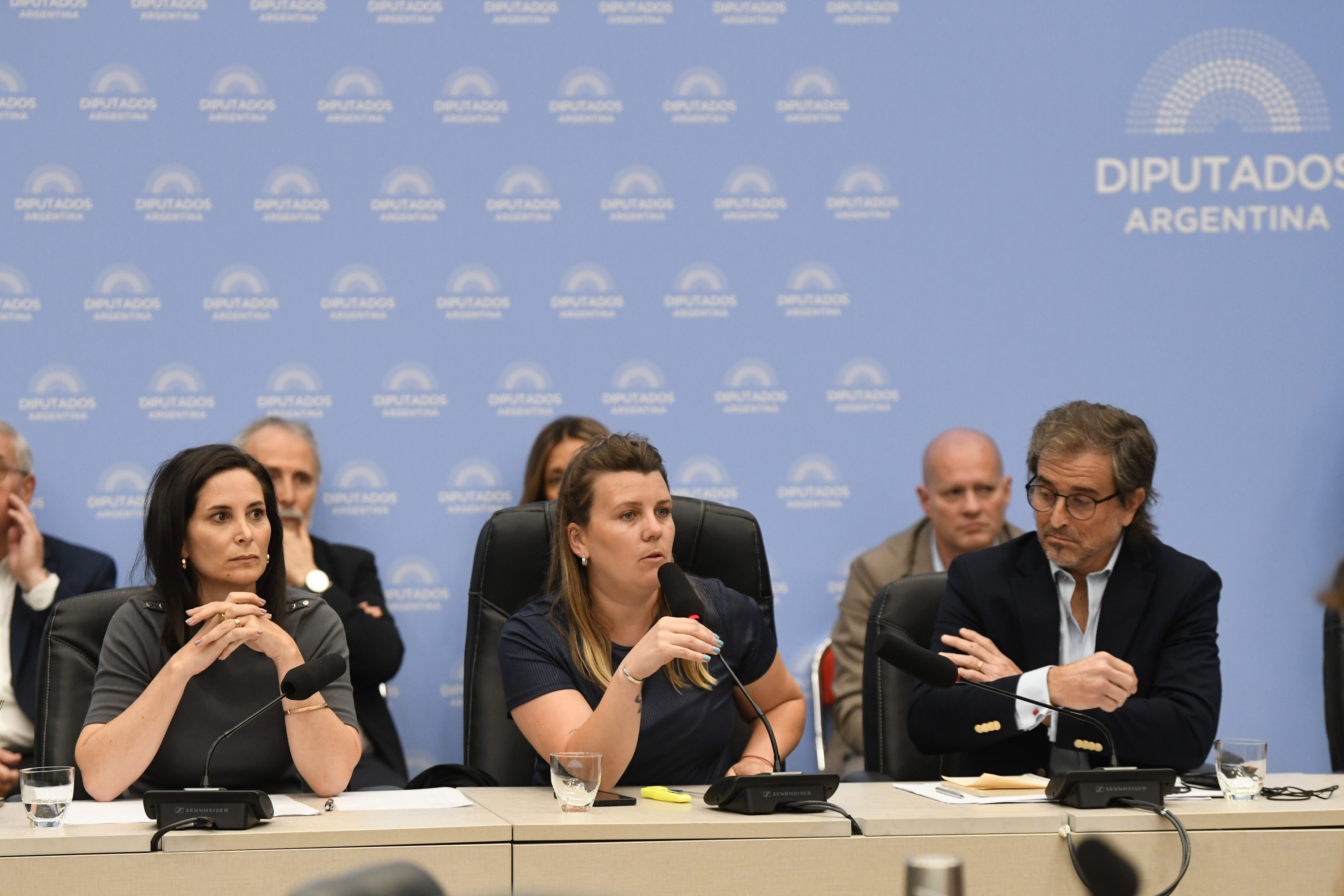 Galeria de imagenes de la noticia DICTAMEN DE MAYORÍA AL PROYECTO QUE MODIFICA LA ADMINISTRACIÓN DE LOS RECURSOS DEL ENARD