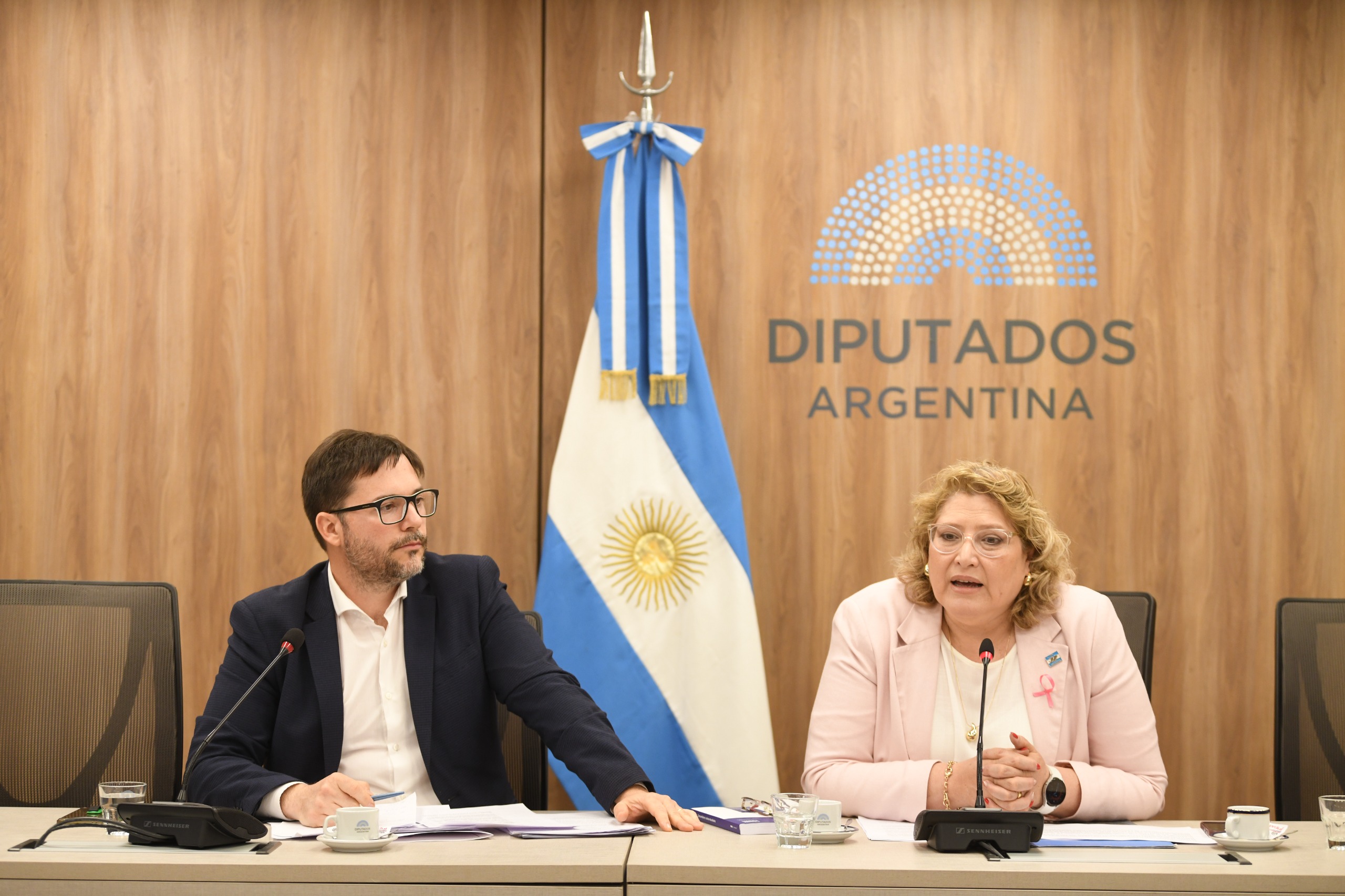 Galeria de imagenes de la noticia COMISIÓN DE DEFENSA DEL CONSUMIDOR, DEL USUARIO Y DE LA COMPETENCIA DICTAMINÓ DIVERSOS PROYECTOS