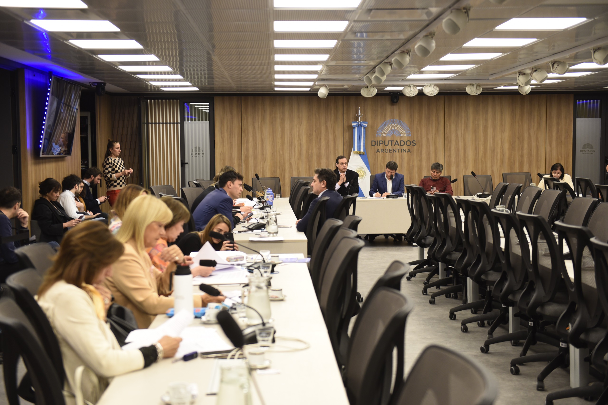 Galeria de imagenes de la noticia UNA COMISIÓN DE DIPUTADOS ABORDÓ PROYECTOS VINCULADOS A DISCAPACIDAD