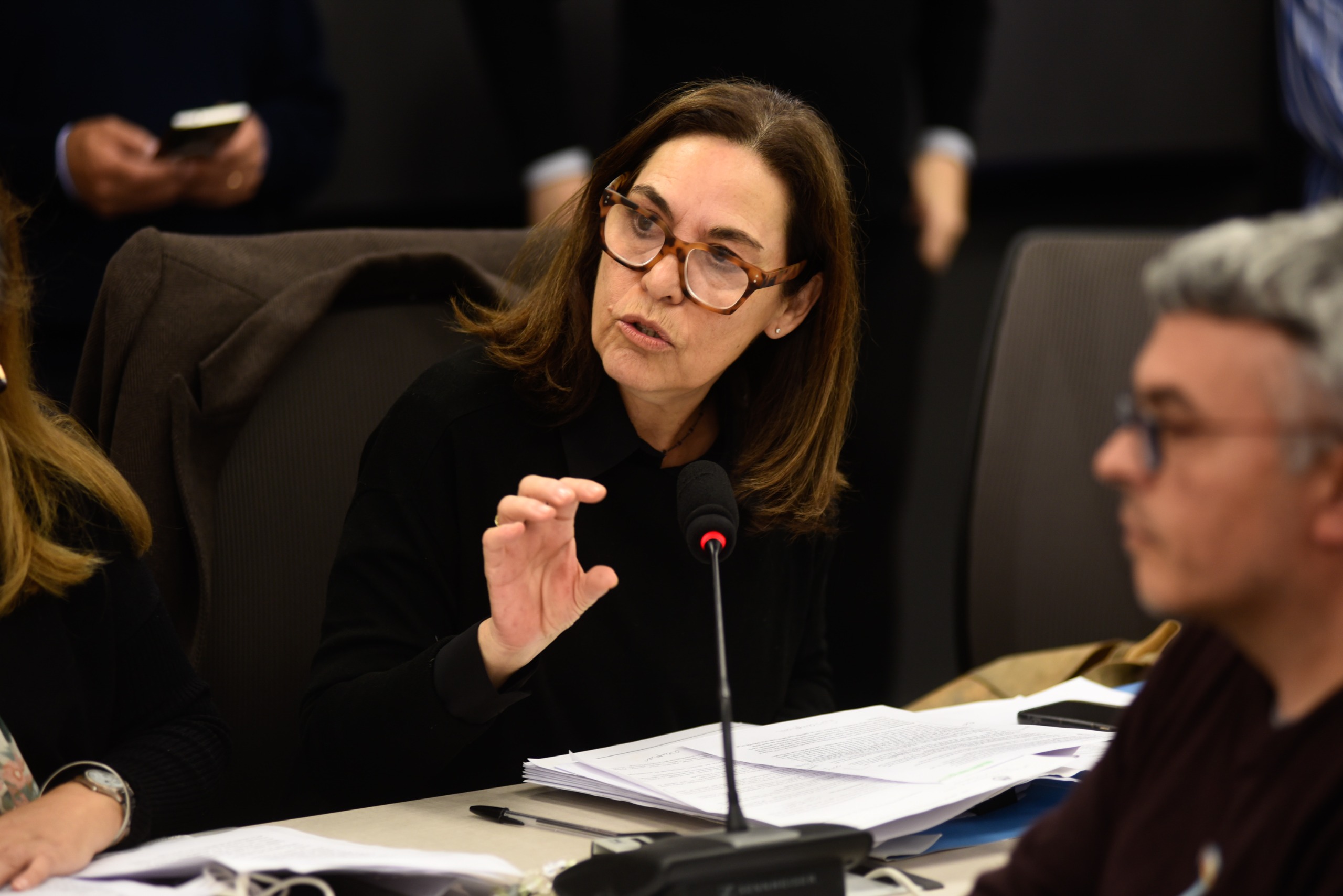 Galeria de imagenes de la noticia UNA COMISIÓN DE DIPUTADOS ABORDÓ PROYECTOS VINCULADOS A DISCAPACIDAD