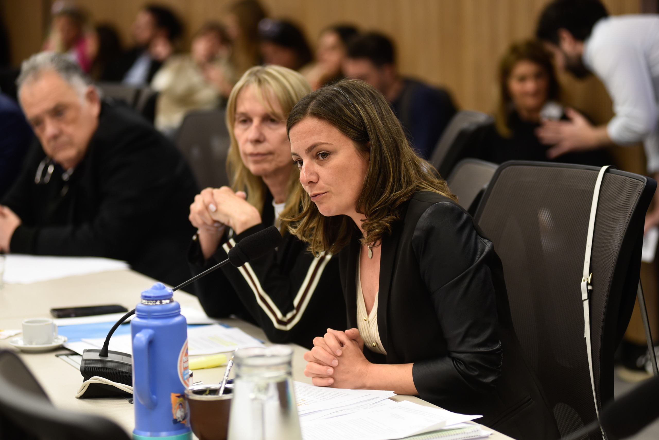 Galeria de imagenes de la noticia UNA COMISIÓN DE DIPUTADOS ABORDÓ PROYECTOS VINCULADOS A DISCAPACIDAD