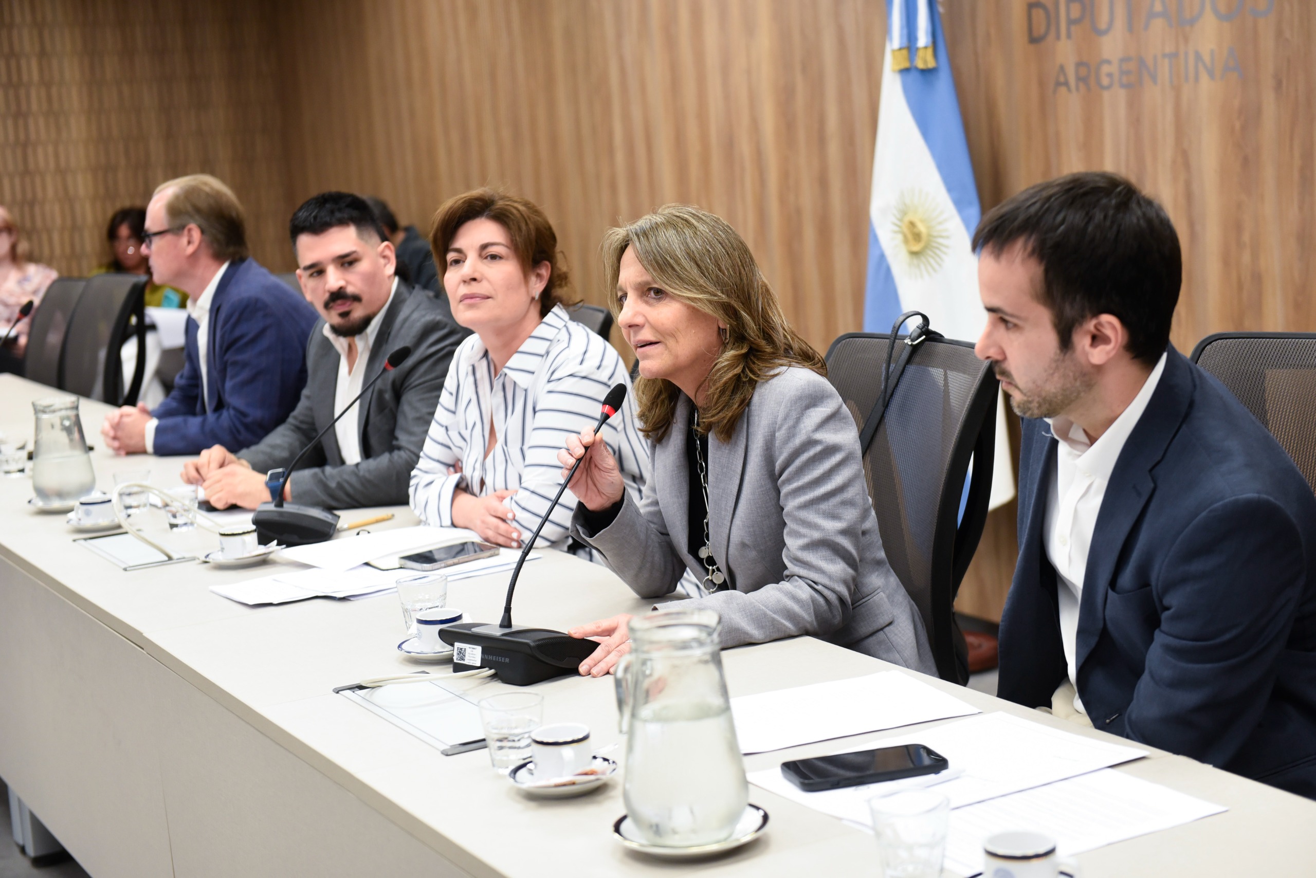 Galeria de imagenes de la noticia EN UNA REUNIÓN INFORMATIVA, LA COMISIÓN DE INDUSTRIA ANALIZÓ LA PRÓRROGA DE LA LEY DE ENERGÍA RENOVABLE