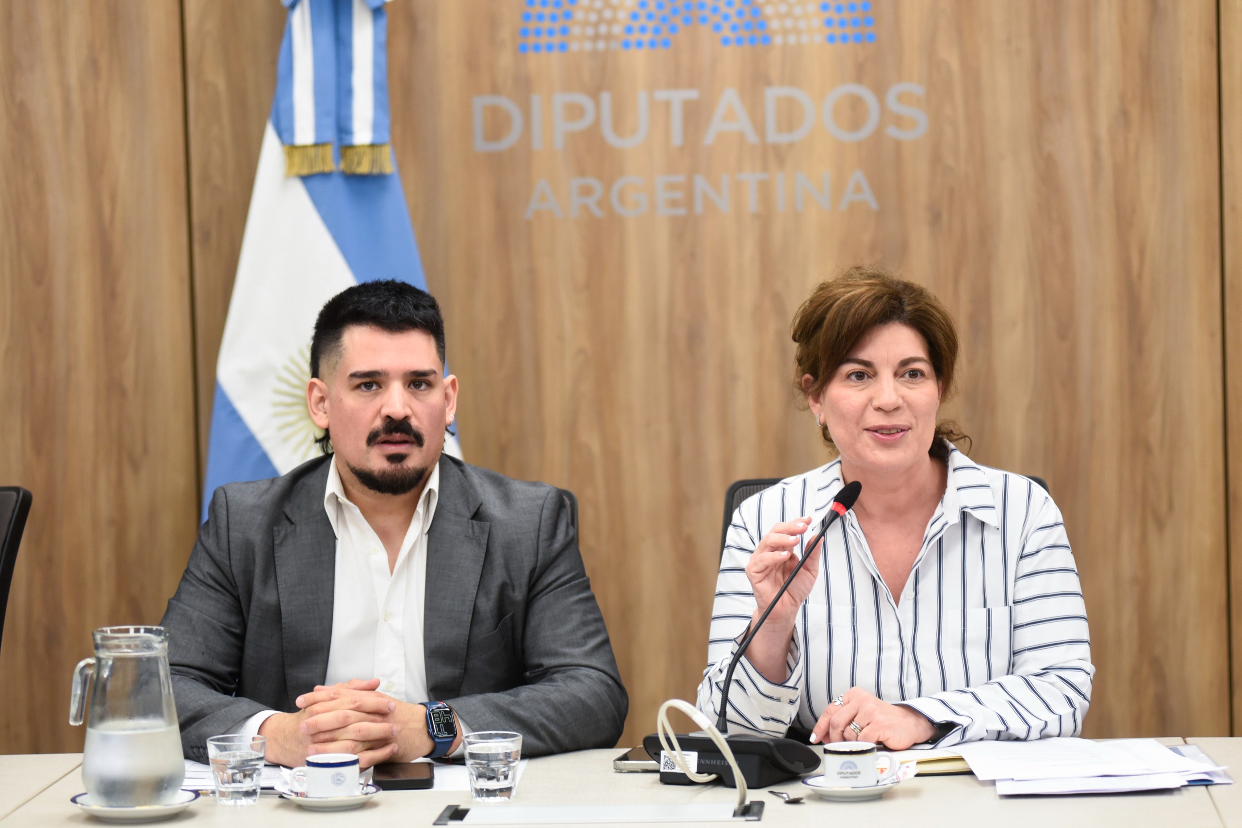 Galeria de imagenes de la noticia EN UNA REUNIÓN INFORMATIVA, LA COMISIÓN DE INDUSTRIA ANALIZÓ LA PRÓRROGA DE LA LEY DE ENERGÍA RENOVABLE
