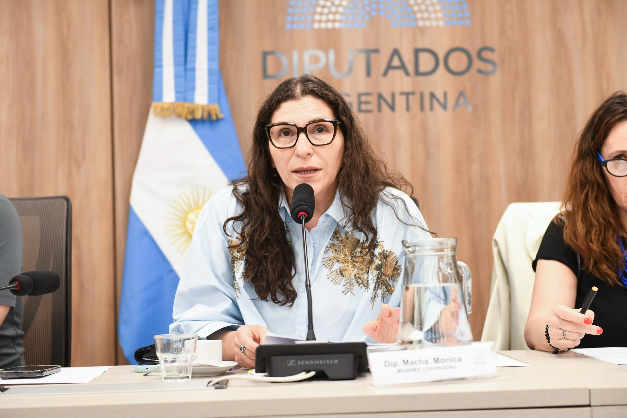 Galeria de imagenes de la noticia LA COMISIÓN DE MUJERES Y DIVERSIDAD RECIBIÓ A ESPECIALISTAS Y ORGANIZACIONES DE LA SOCIEDAD CIVIL