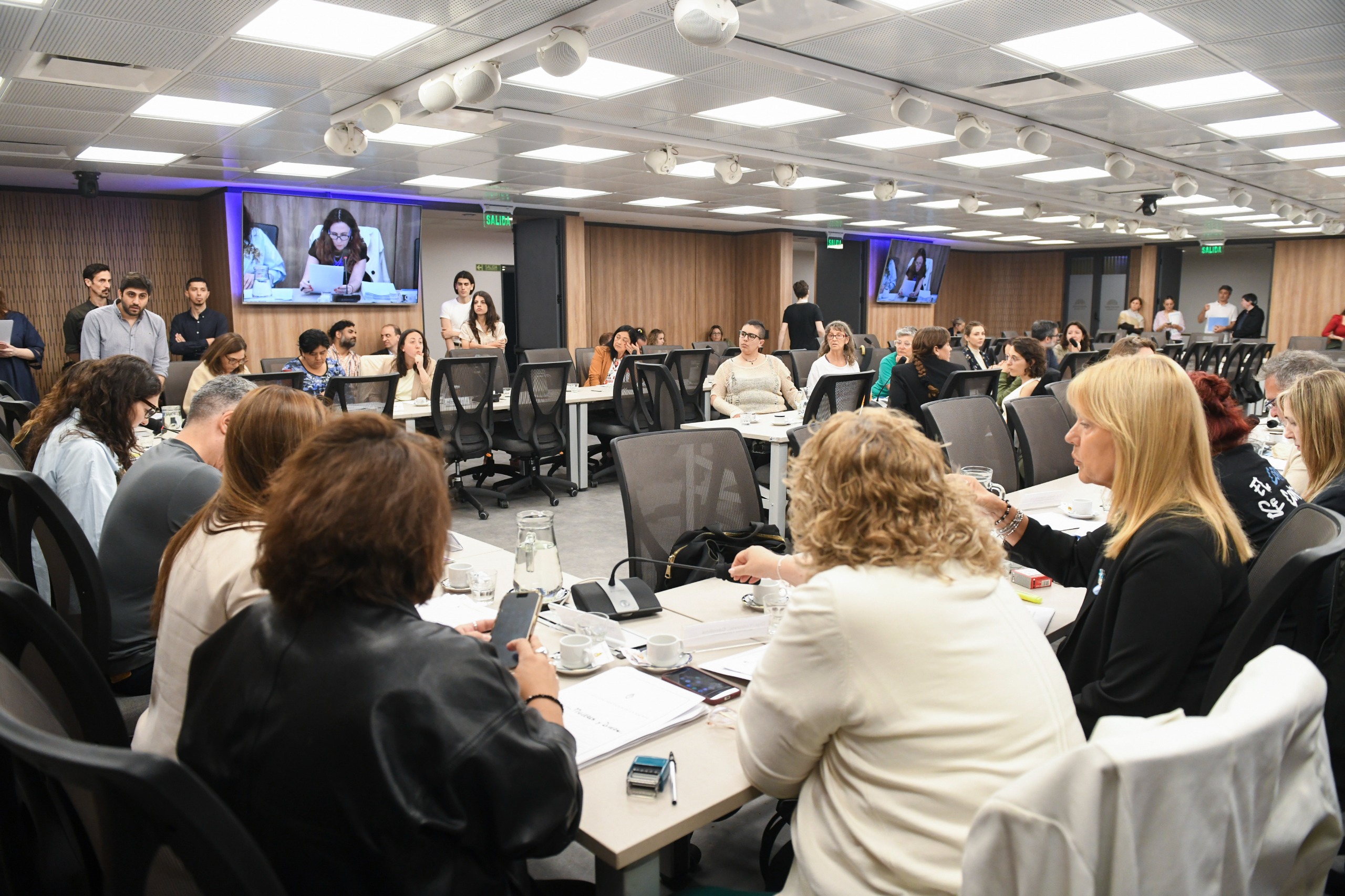 Galeria de imagenes de la noticia LA COMISIÓN DE MUJERES Y DIVERSIDAD RECIBIÓ A ESPECIALISTAS Y ORGANIZACIONES DE LA SOCIEDAD CIVIL