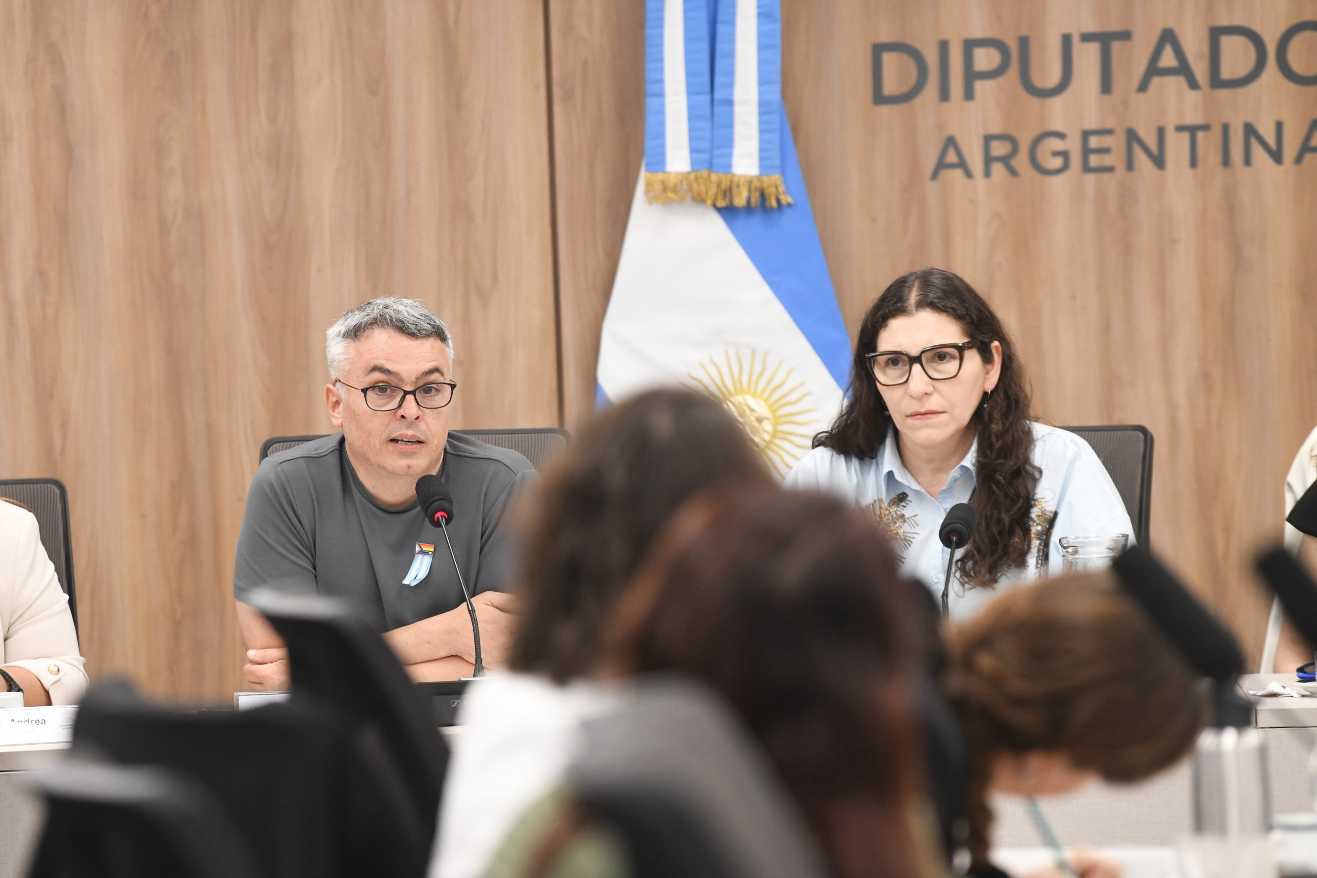 Galeria de imagenes de la noticia LA COMISIÓN DE MUJERES Y DIVERSIDAD RECIBIÓ A ESPECIALISTAS Y ORGANIZACIONES DE LA SOCIEDAD CIVIL