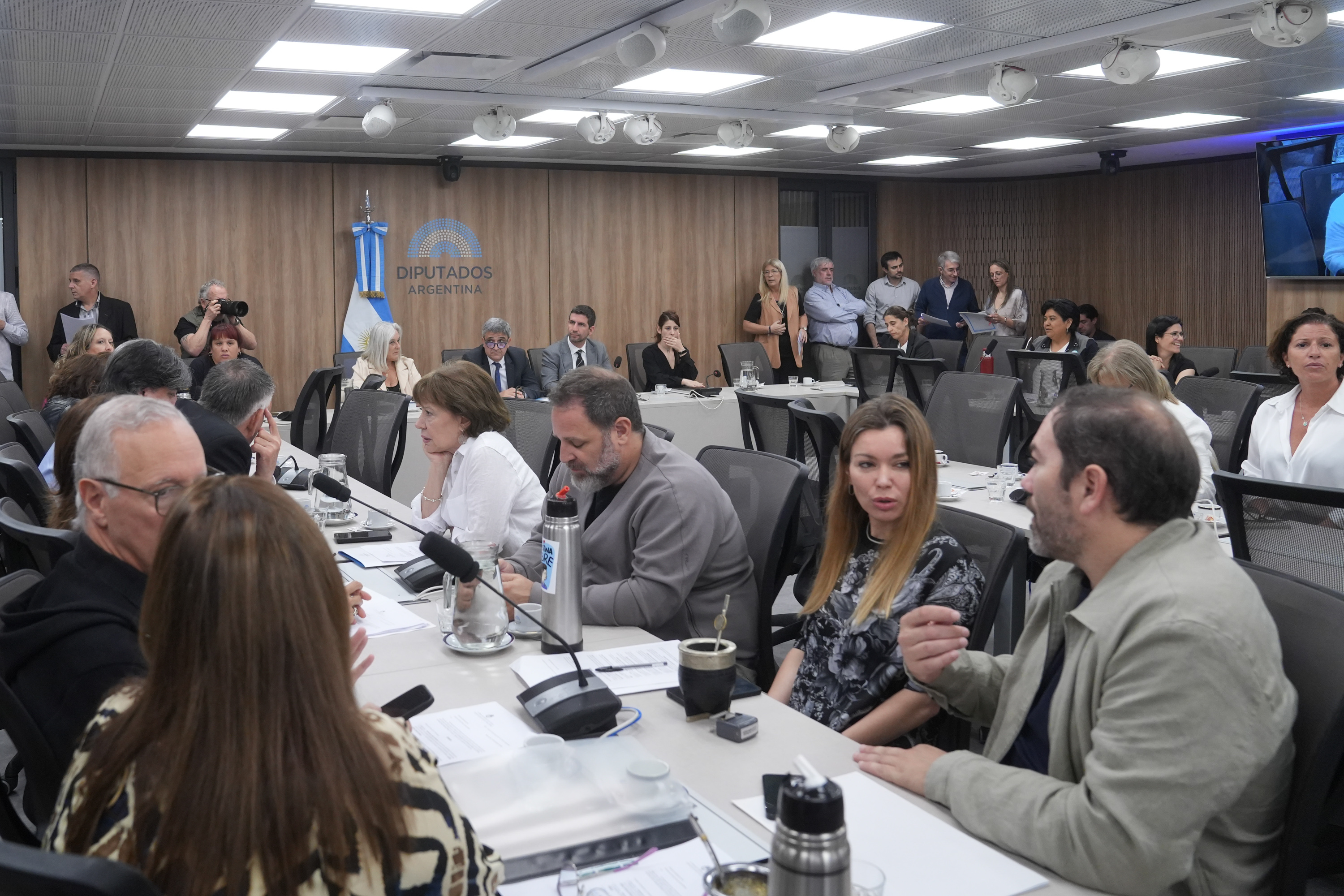 Galeria de imagenes de la noticia LA COMISIÓN DE ACCIÓN SOCIAL Y SALUD PÚBLICA ANALIZÓ DISTINTOS PROYECTOS DE RESOLUCIÓN Y DECLARACIÓN