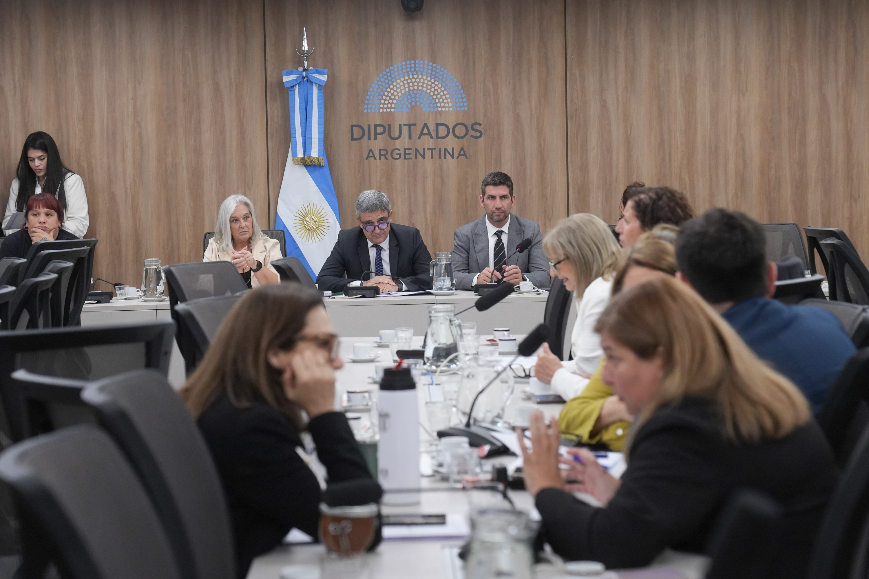 Galeria de imagenes de la noticia LA COMISIÓN DE ACCIÓN SOCIAL Y SALUD PÚBLICA ANALIZÓ DISTINTOS PROYECTOS DE RESOLUCIÓN Y DECLARACIÓN