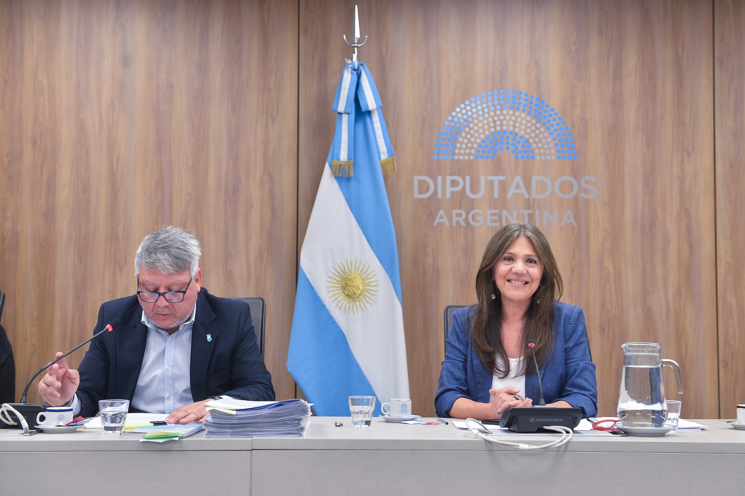 Galeria de imagenes de la noticia COMISIÓN DE CULTURA AVANZÓ EN DIVERSAS INICIATIVAS PARA EL SECTOR