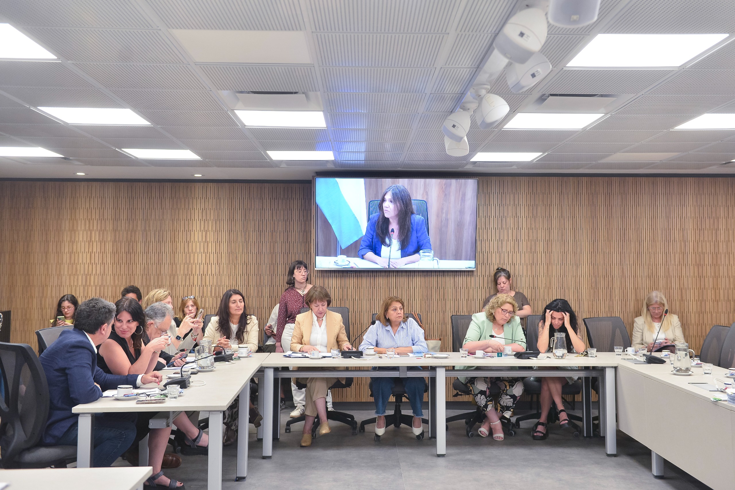 Galeria de imagenes de la noticia COMISIÓN DE CULTURA AVANZÓ EN DIVERSAS INICIATIVAS PARA EL SECTOR