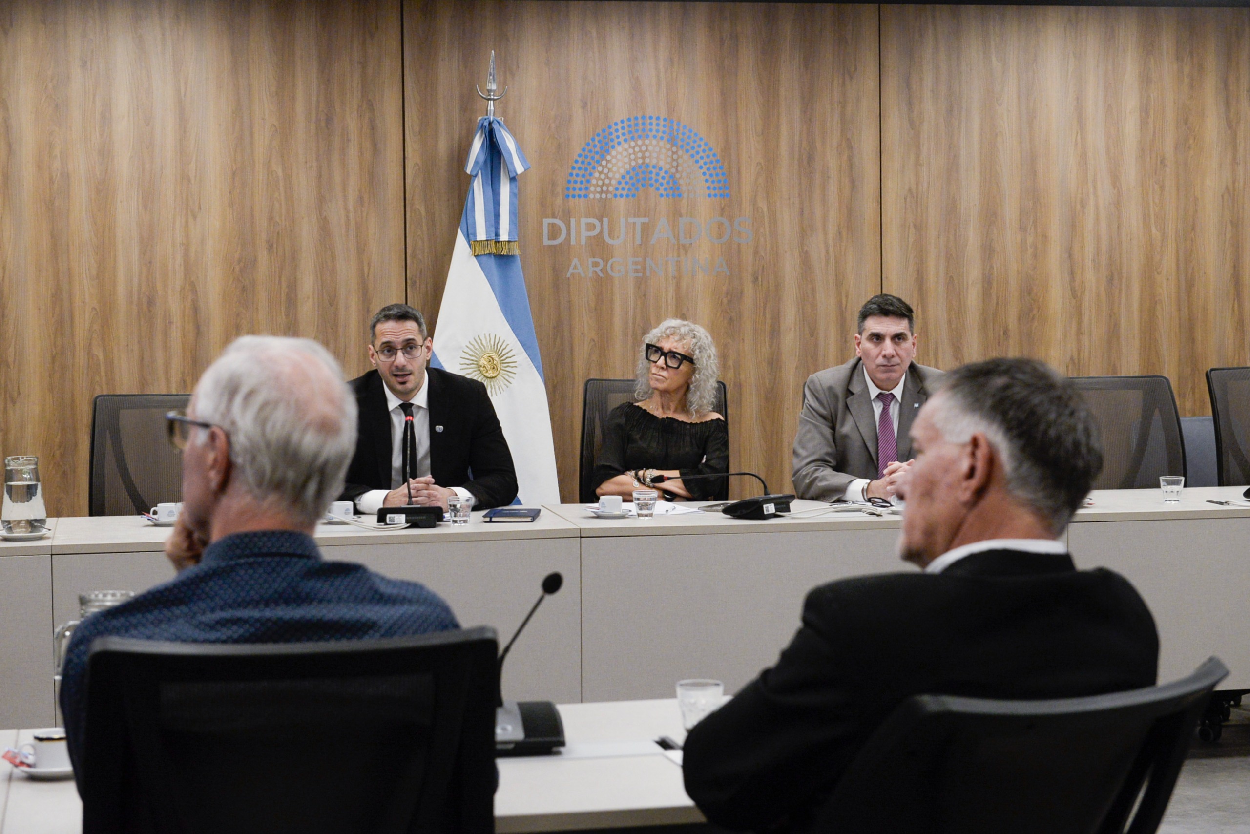 Galeria de imagenes de la noticia UNA COMISIÓN DE DIPUTADOS ABORDÓ LOS DESAFÍOS PLANTEADOS POR LAS DROGAS SINTÉTICAS Y LAS NUEVAS SUSTANCIAS PSICOACTIVAS