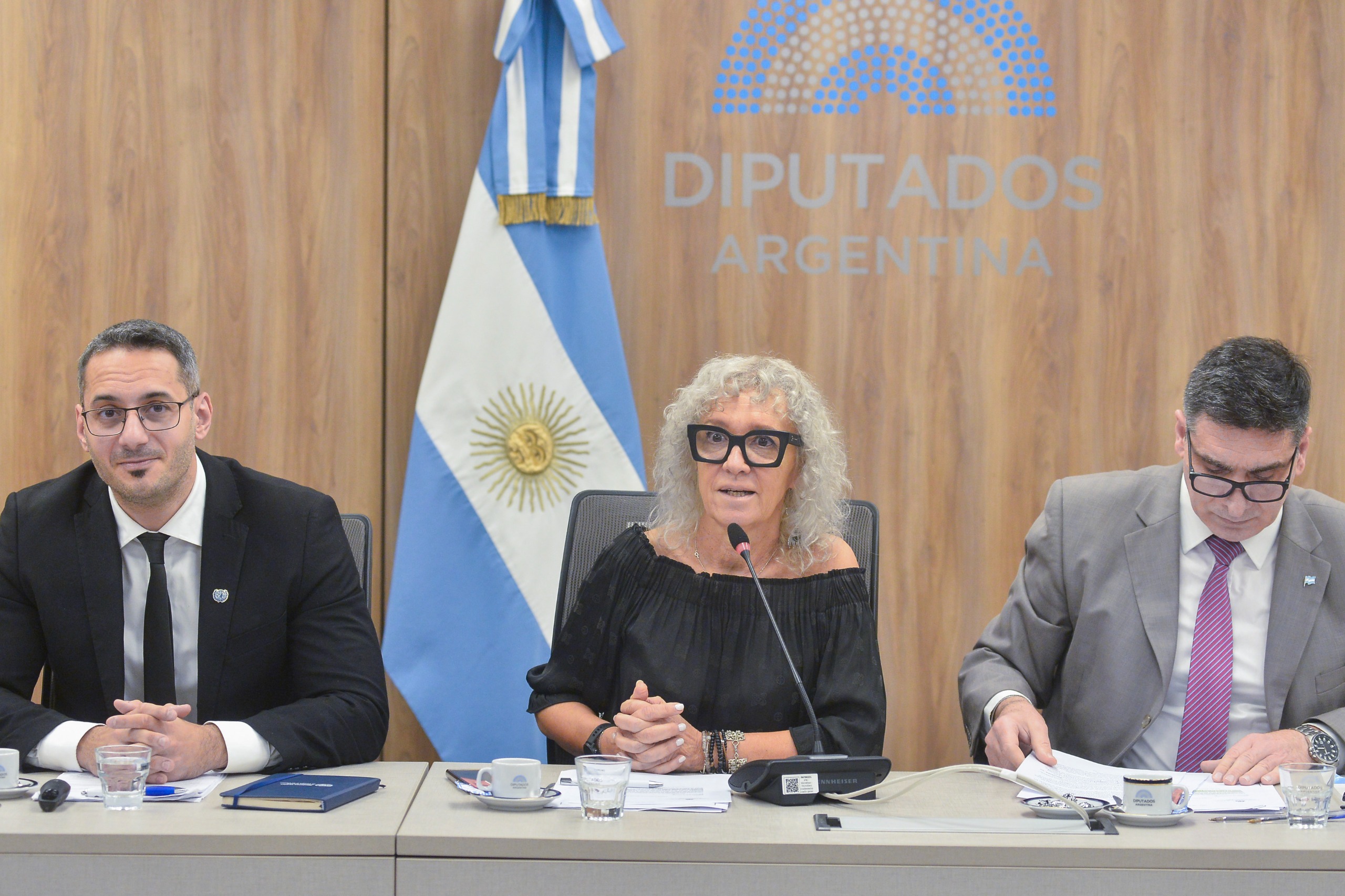 Galeria de imagenes de la noticia UNA COMISIÓN DE DIPUTADOS ABORDÓ LOS DESAFÍOS PLANTEADOS POR LAS DROGAS SINTÉTICAS Y LAS NUEVAS SUSTANCIAS PSICOACTIVAS