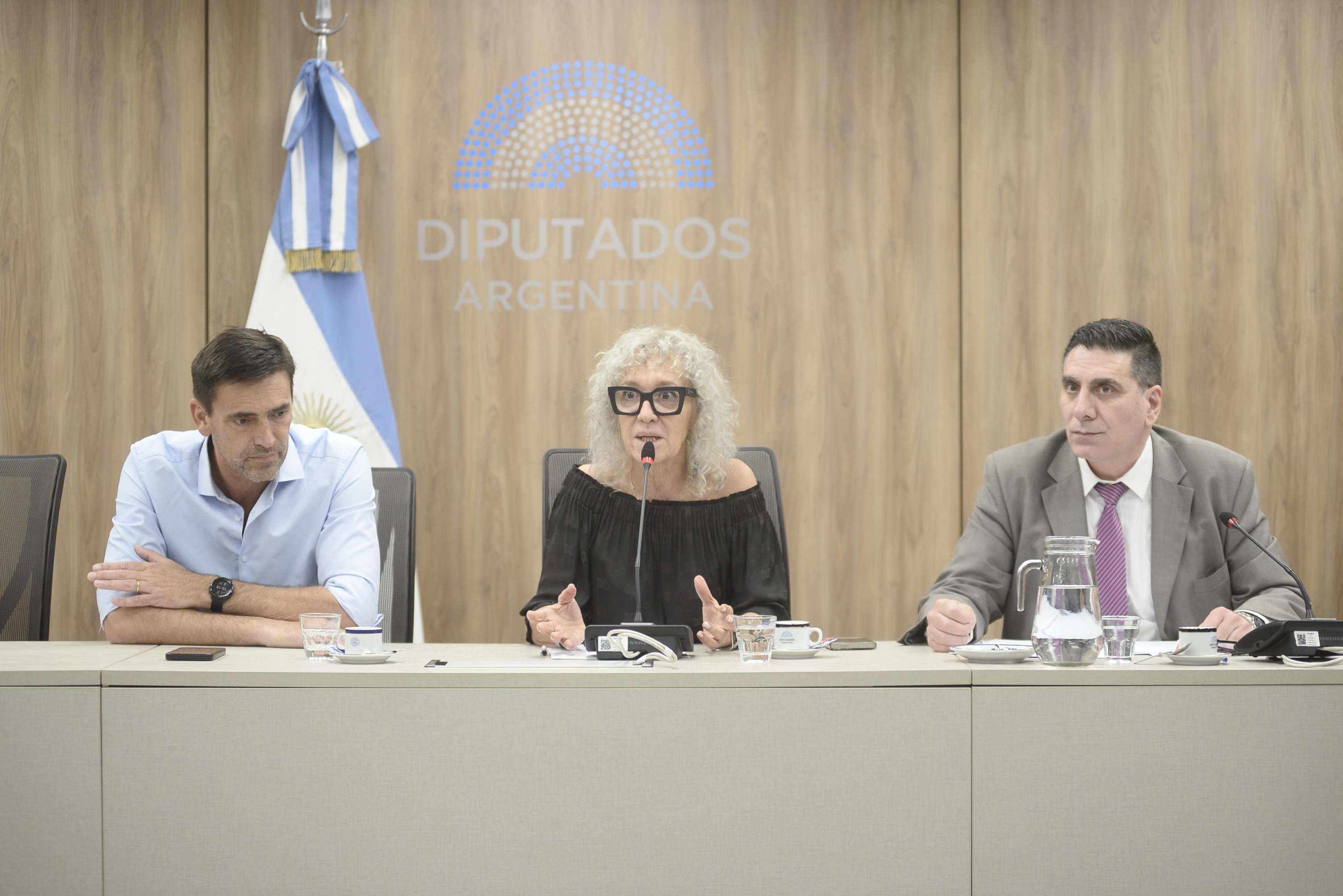 Galeria de imagenes de la noticia COMISIÓN DE PREVENCIÓN DE ADICCIONES: ESPECIALISTAS DISERTARON SOBRE CANNABIS MEDICINAL