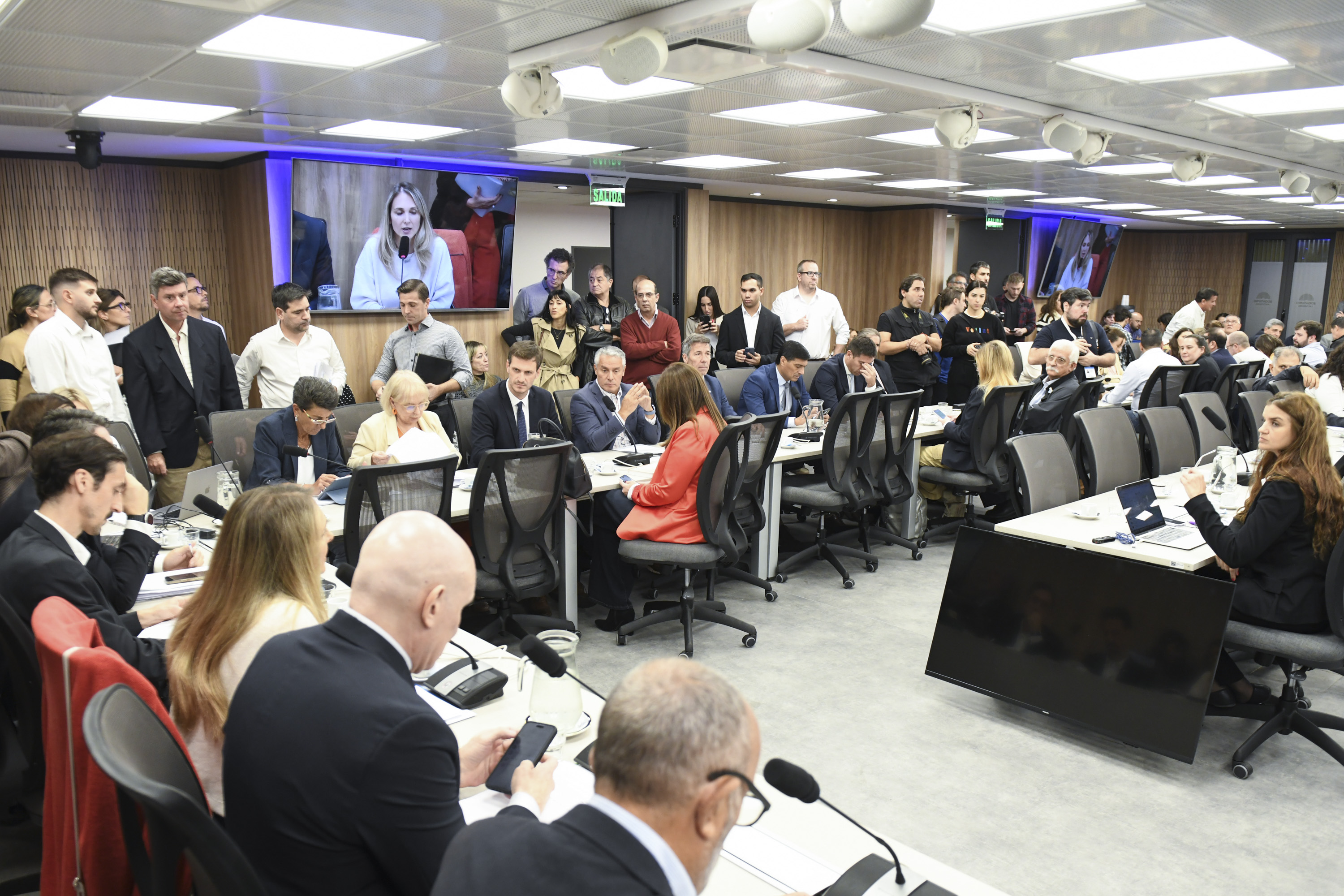 Galeria de imagenes de la noticia CON DICTÁMENES, AVANZAN LAS PROPUESTAS DE REFORMAS AL RÉGIMEN PREVISIONAL