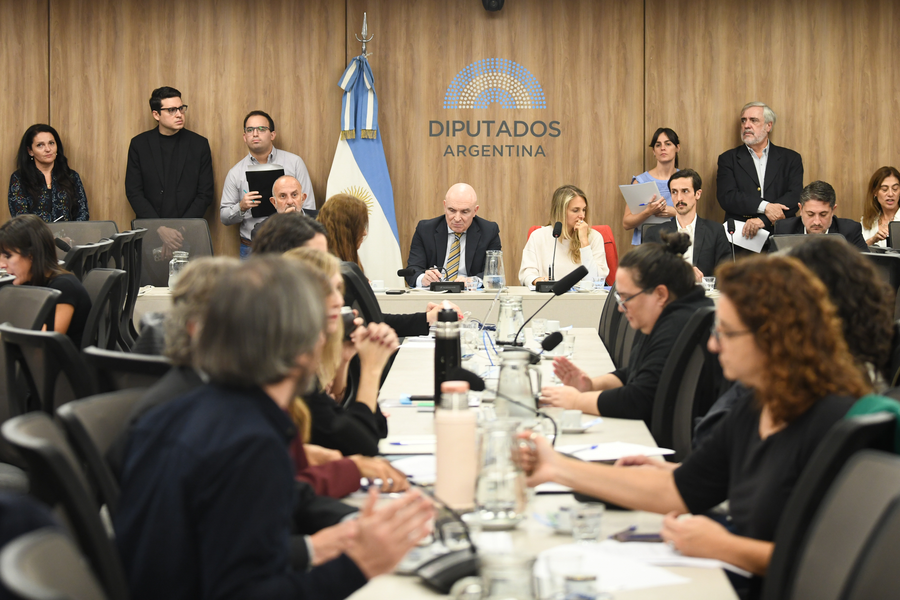 Galeria de imagenes de la noticia CON DICTÁMENES, AVANZAN LAS PROPUESTAS DE REFORMAS AL RÉGIMEN PREVISIONAL