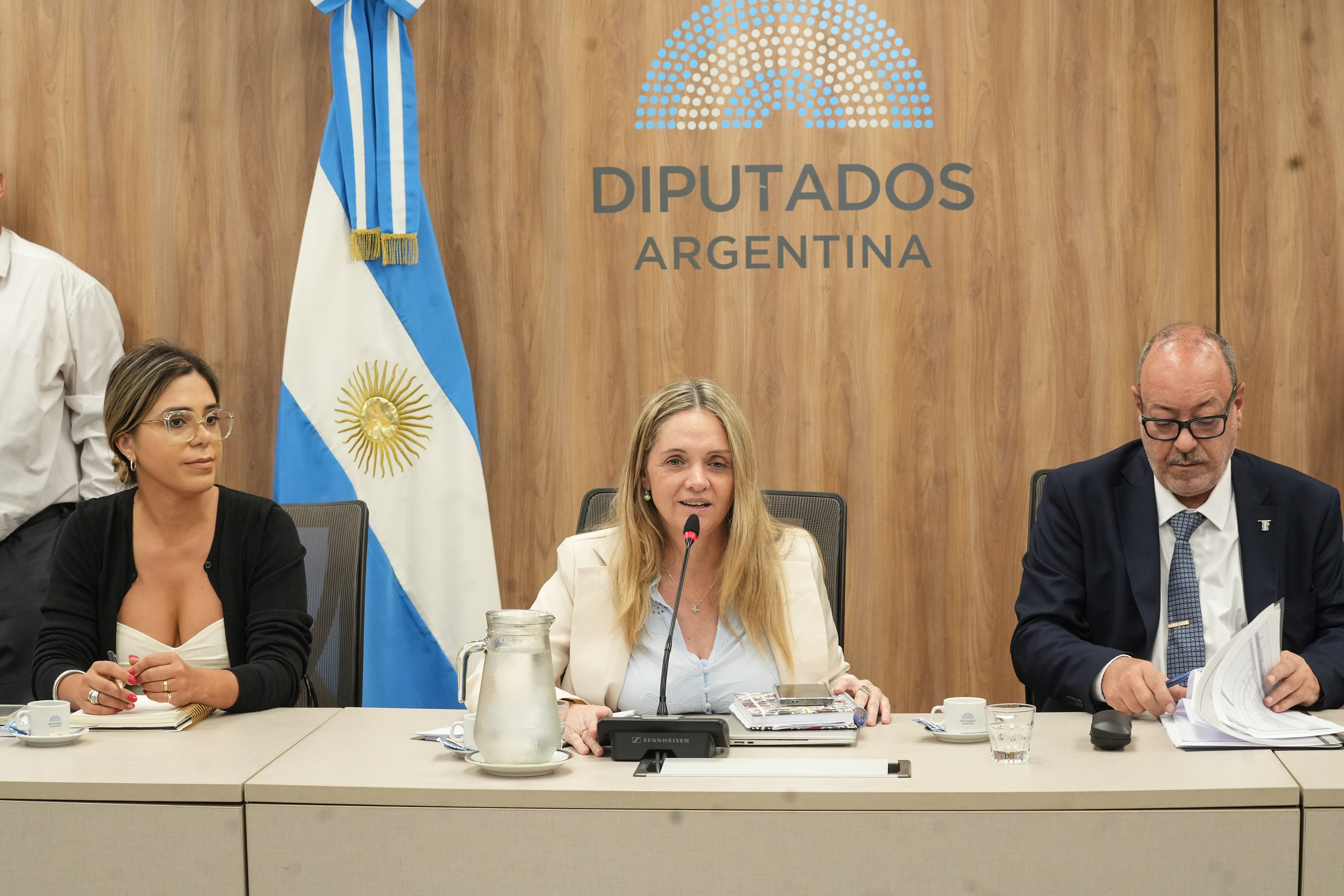Galeria de imagenes de la noticia EXTRAORDINARIAS: AVANZA LA CONFORMACIÓN DE LAS COMISIONES EN DIPUTADOS