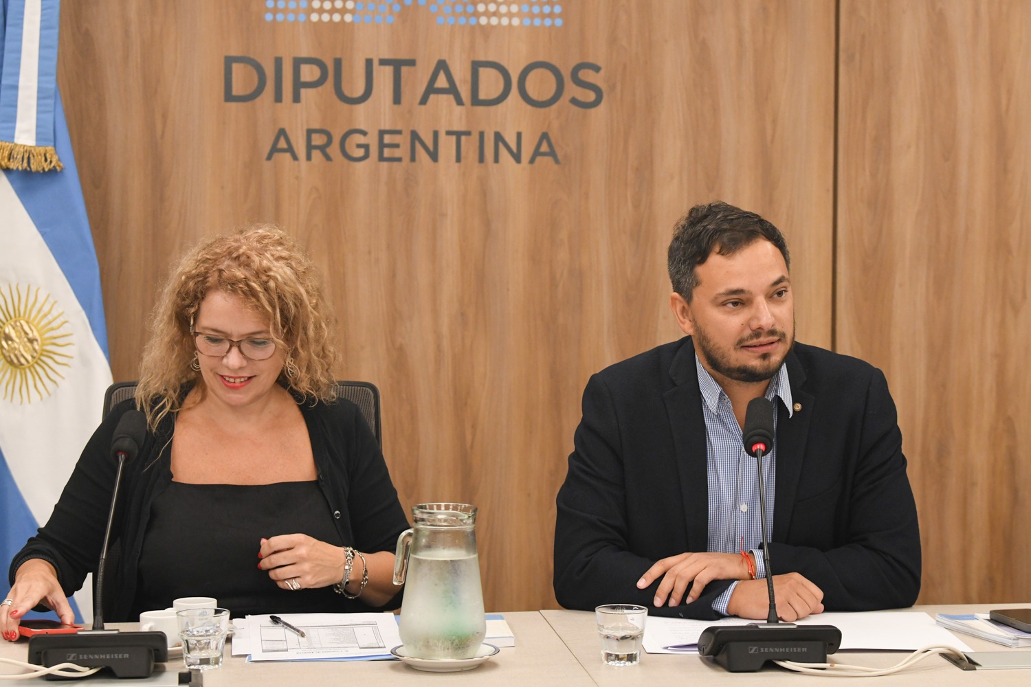 Galeria de imagenes de la noticia EXTRAORDINARIAS: AVANZA LA CONFORMACIÓN DE LAS COMISIONES EN DIPUTADOS