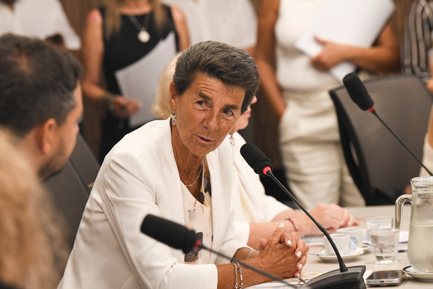 Galeria de imagenes de la noticia EXTRAORDINARIAS: AVANZA LA CONFORMACIÓN DE LAS COMISIONES EN DIPUTADOS