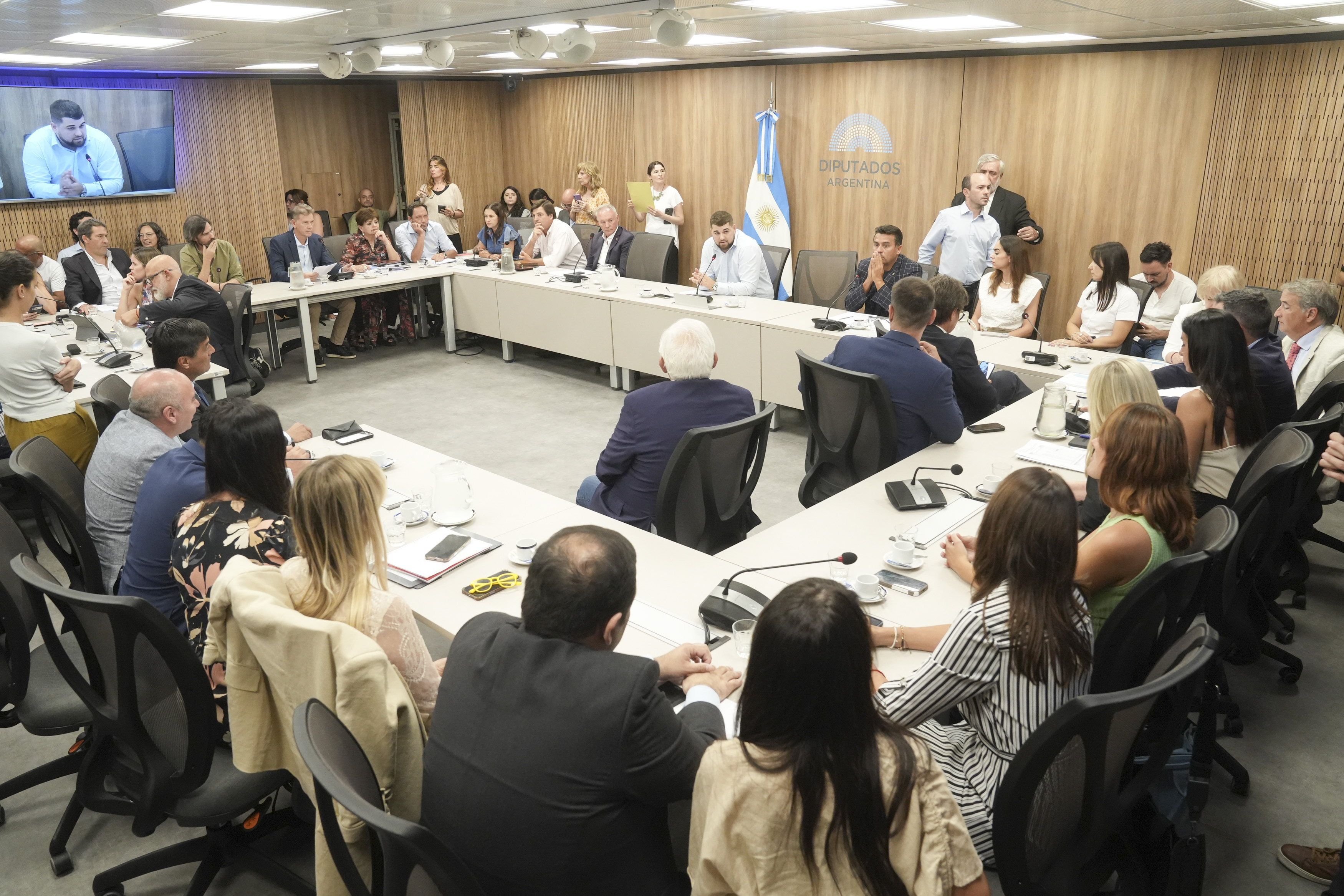 Galeria de imagenes de la noticia EXTRAORDINARIAS: AVANZA LA CONFORMACIÓN DE LAS COMISIONES EN DIPUTADOS