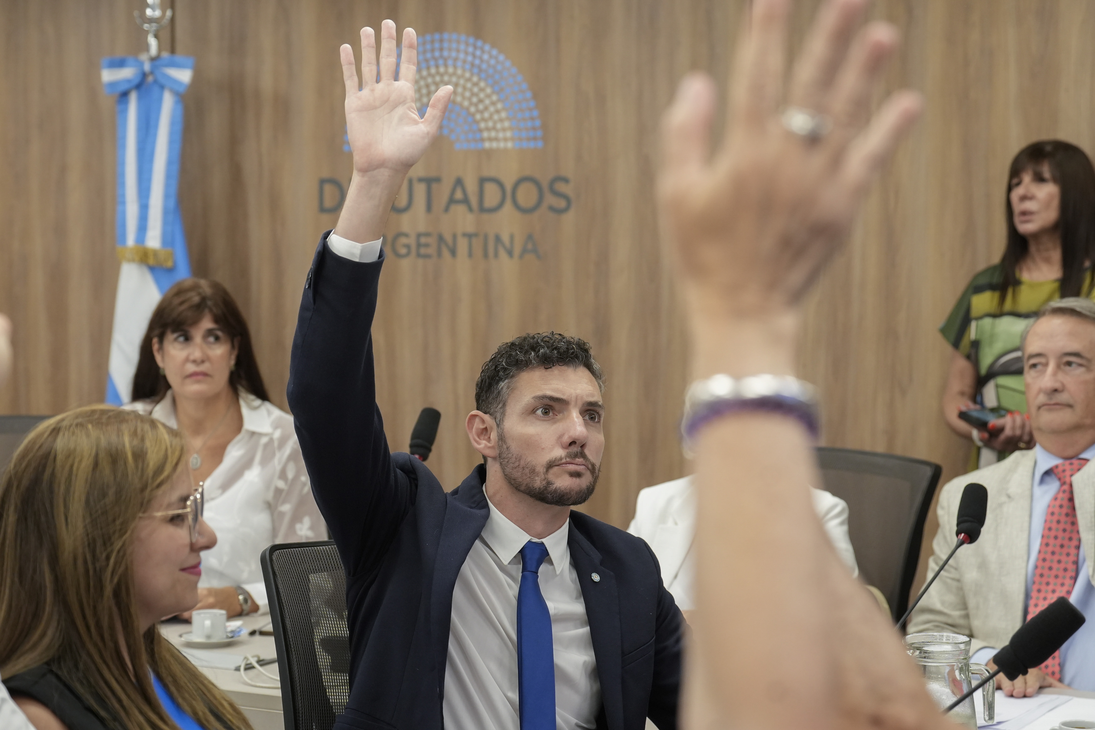 Galeria de imagenes de la noticia EXTRAORDINARIAS: AVANZA LA CONFORMACIÓN DE LAS COMISIONES EN DIPUTADOS