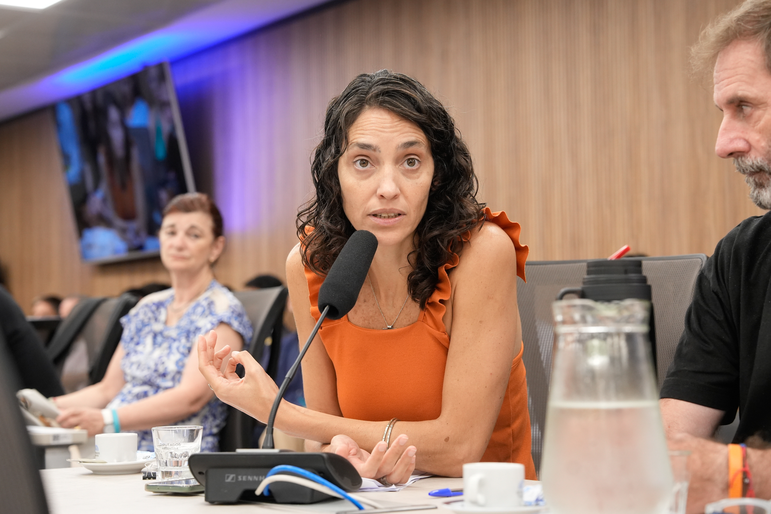 Galeria de imagenes de la noticia EXTRAORDINARIAS: AVANZA LA CONFORMACIÓN DE LAS COMISIONES EN DIPUTADOS